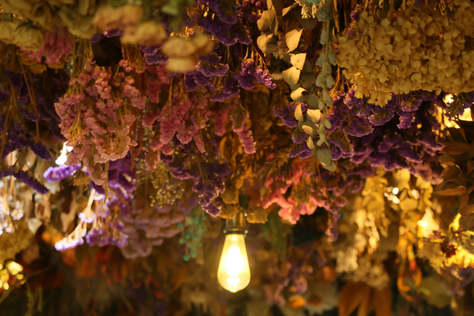 色とりどりのドライフラワーが吊るされた天井と暖かい光の電球