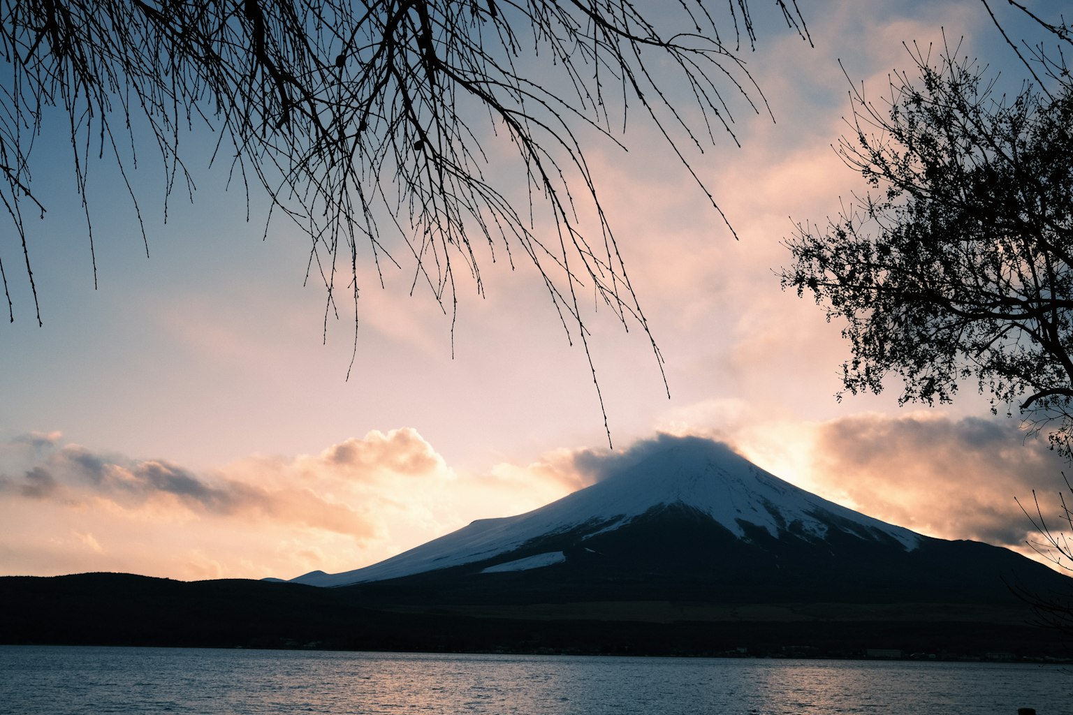 photo-Ndn32Yo4WM3V5x3yJ61z-image
