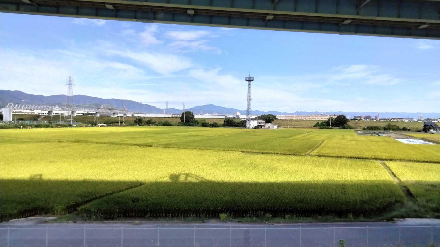Champs de riz verts vibrants sous un ciel bleu avec des montagnes au loin