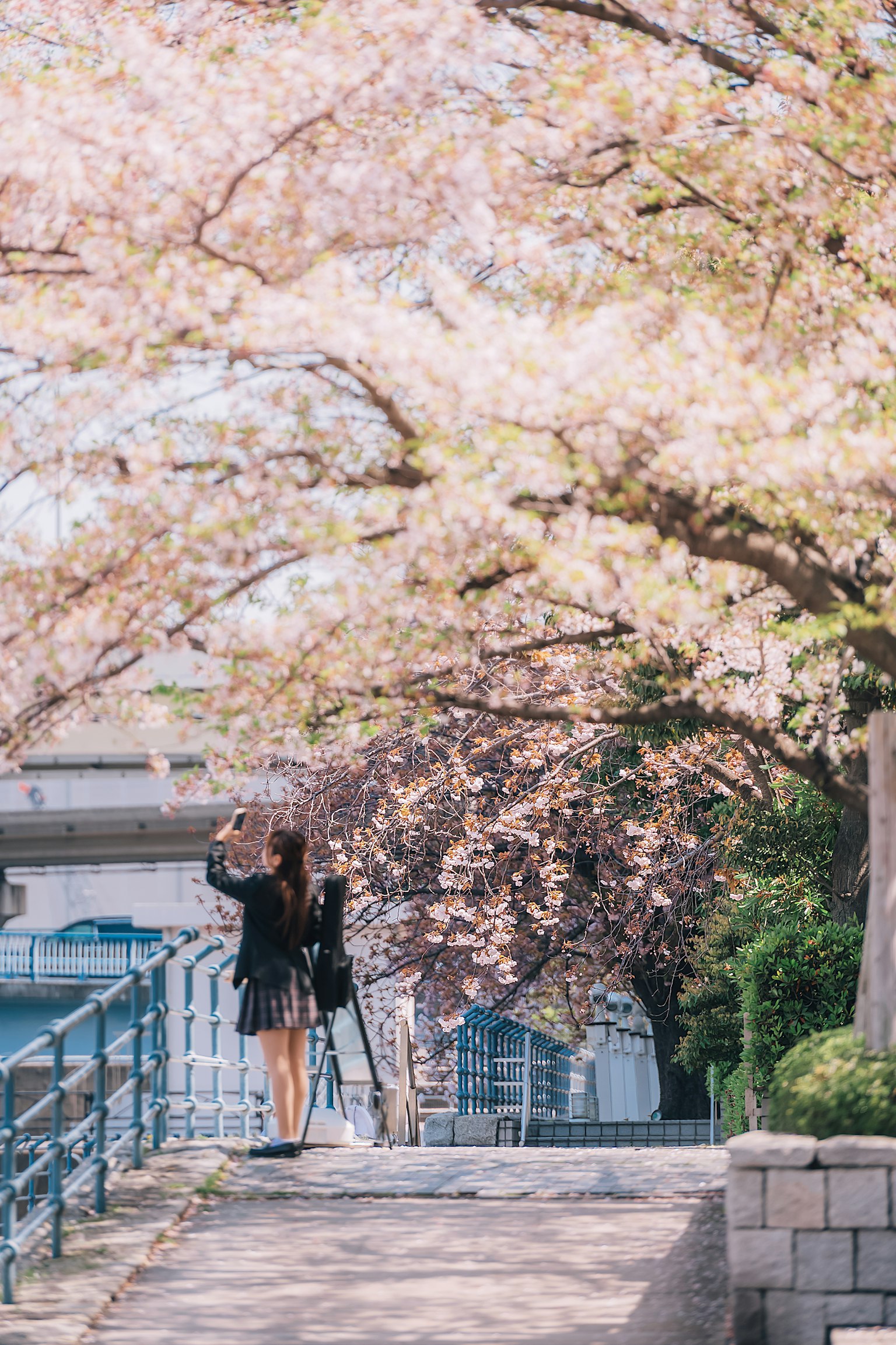Donna con una macchina fotografica sotto alberi di ciliegio in fiore