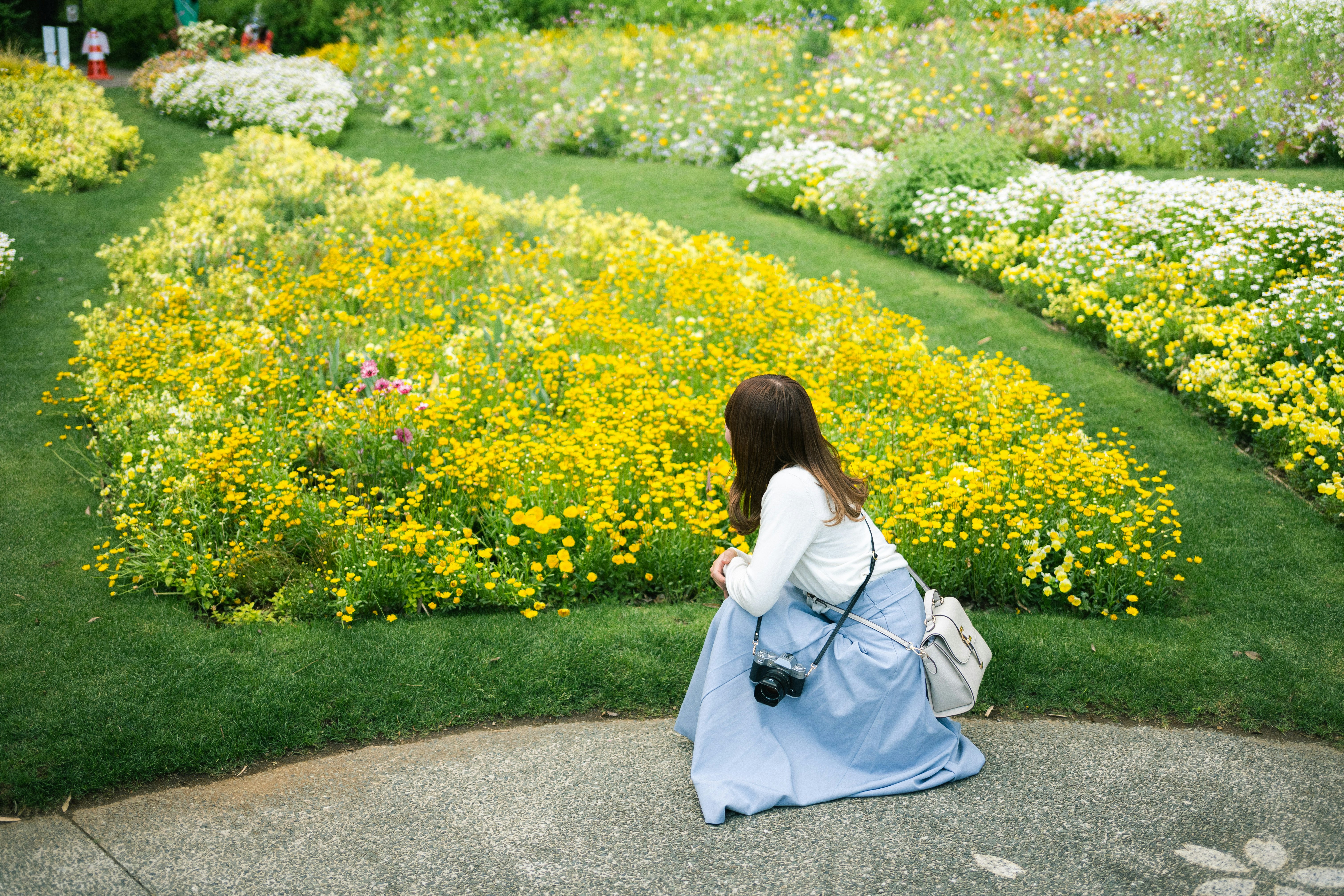 花壇の小道で青い花に囲まれて座る女性