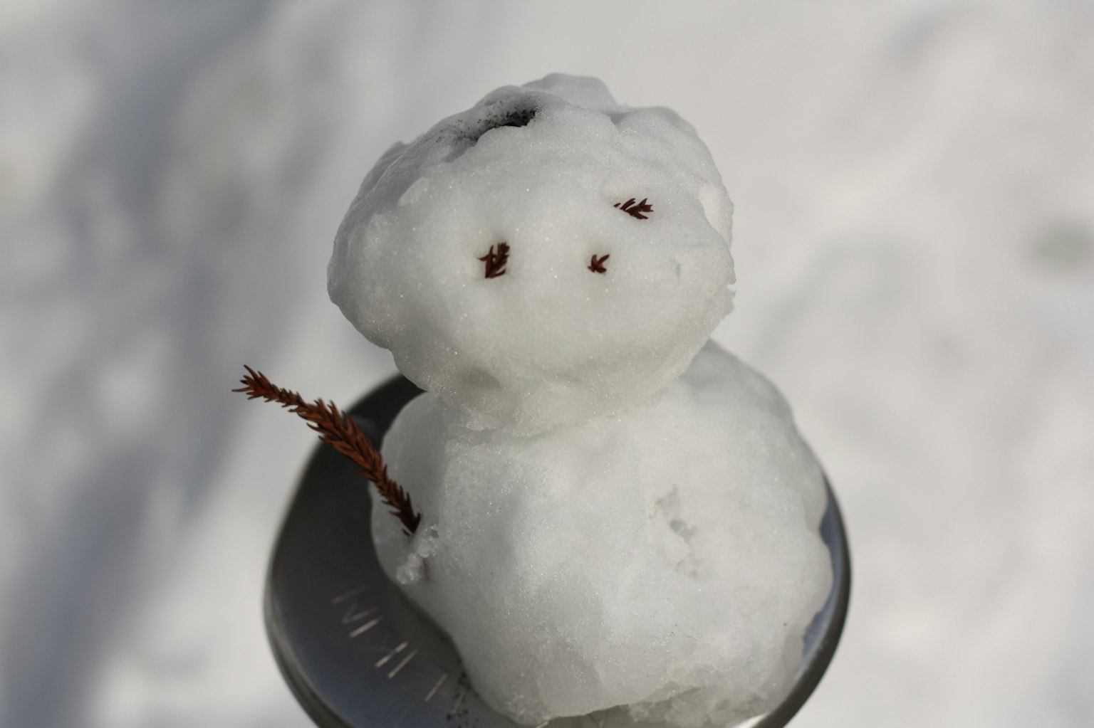 一个用雪做的小雪人，手臂是树枝