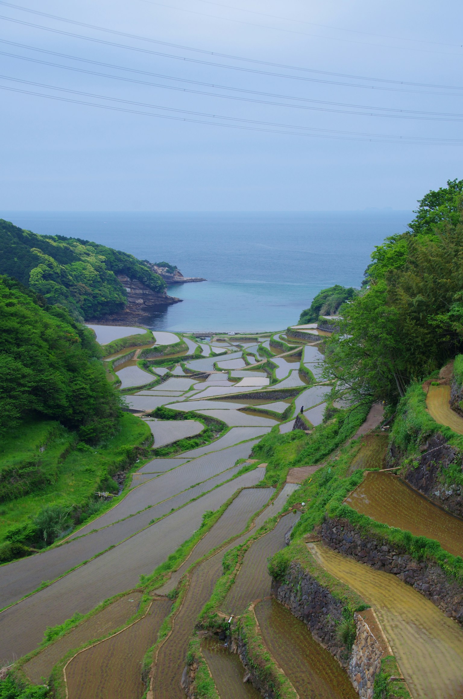 Beautiful terraced rice fields with a blue sea in the background