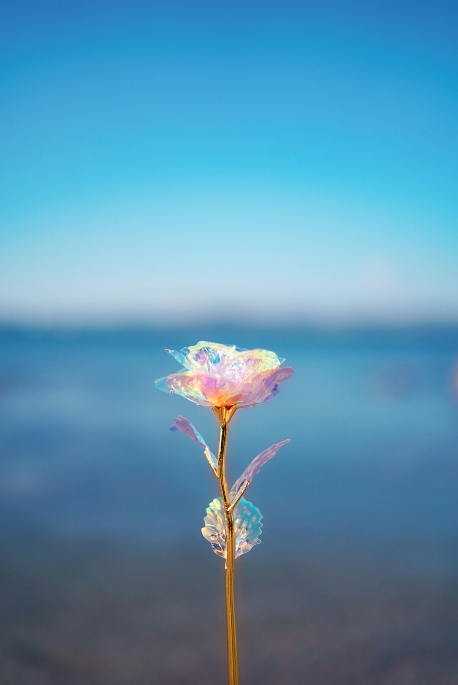 Une fleur colorée se tenant sous un ciel bleu