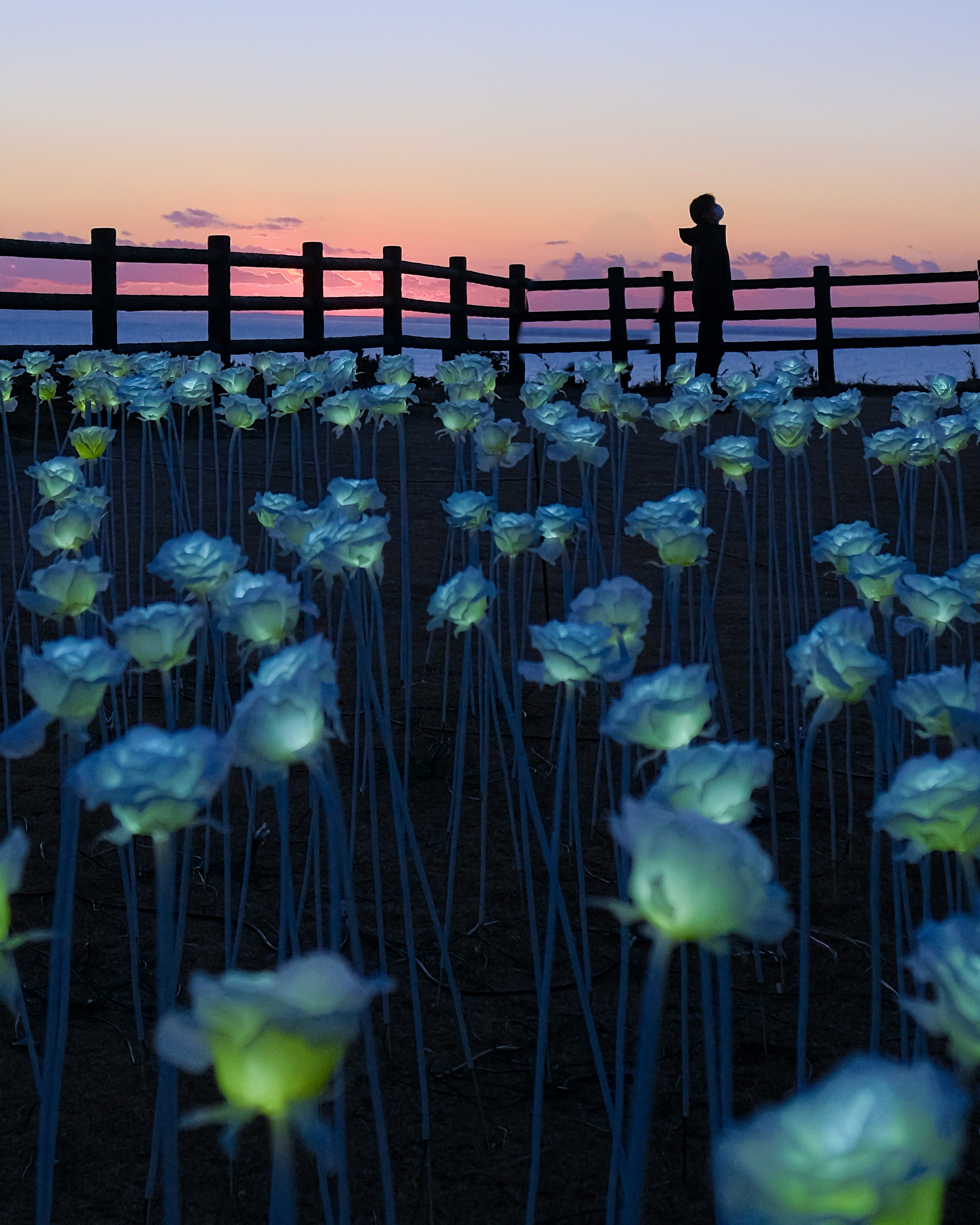 Vista del tramonto sul mare dall’osservatorio del promontorio Iikokujibe ad Asahi (Chiba), con fiori blu in primo piano