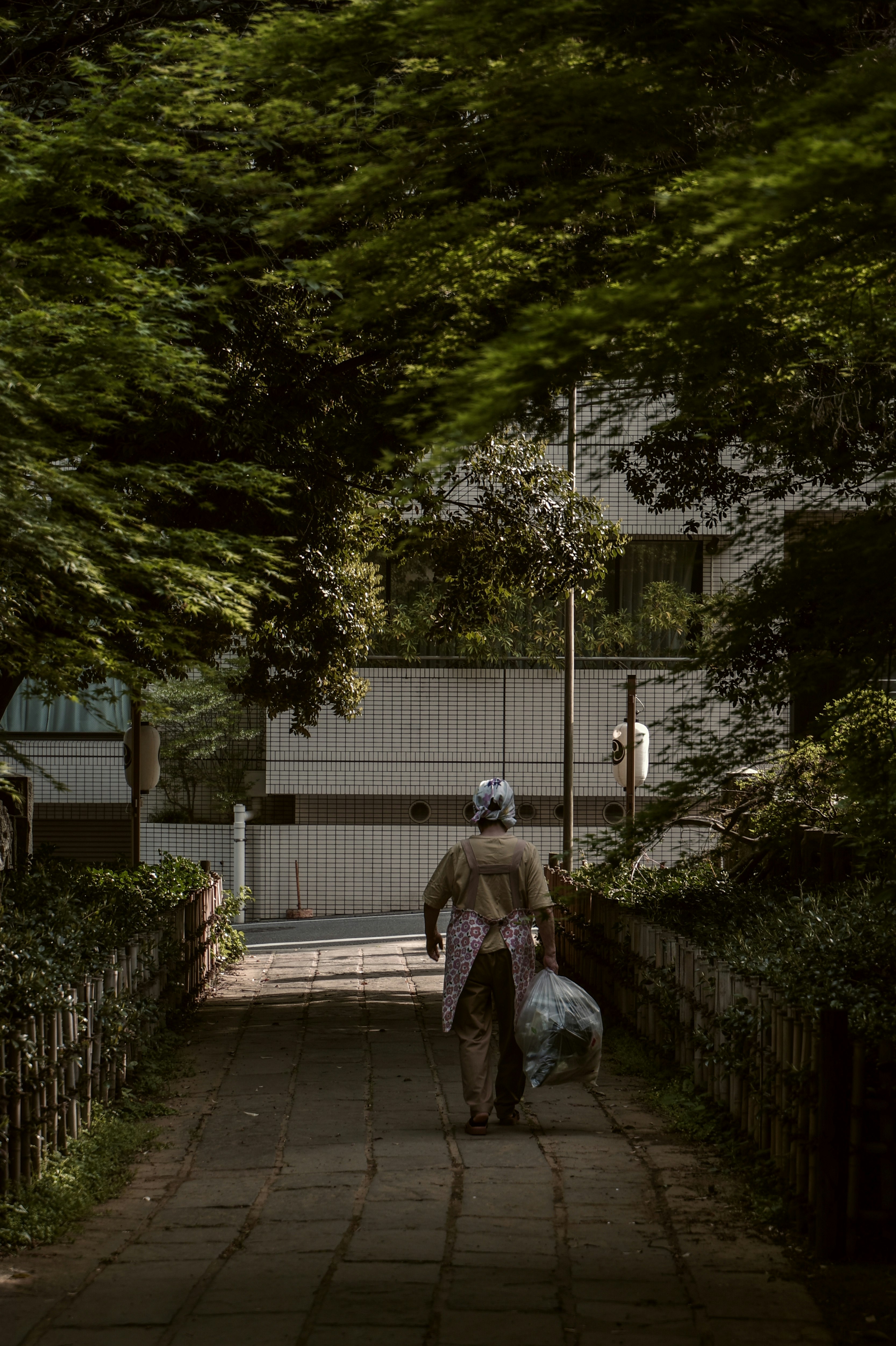 緑の木々に囲まれた参道の小道を歩く人