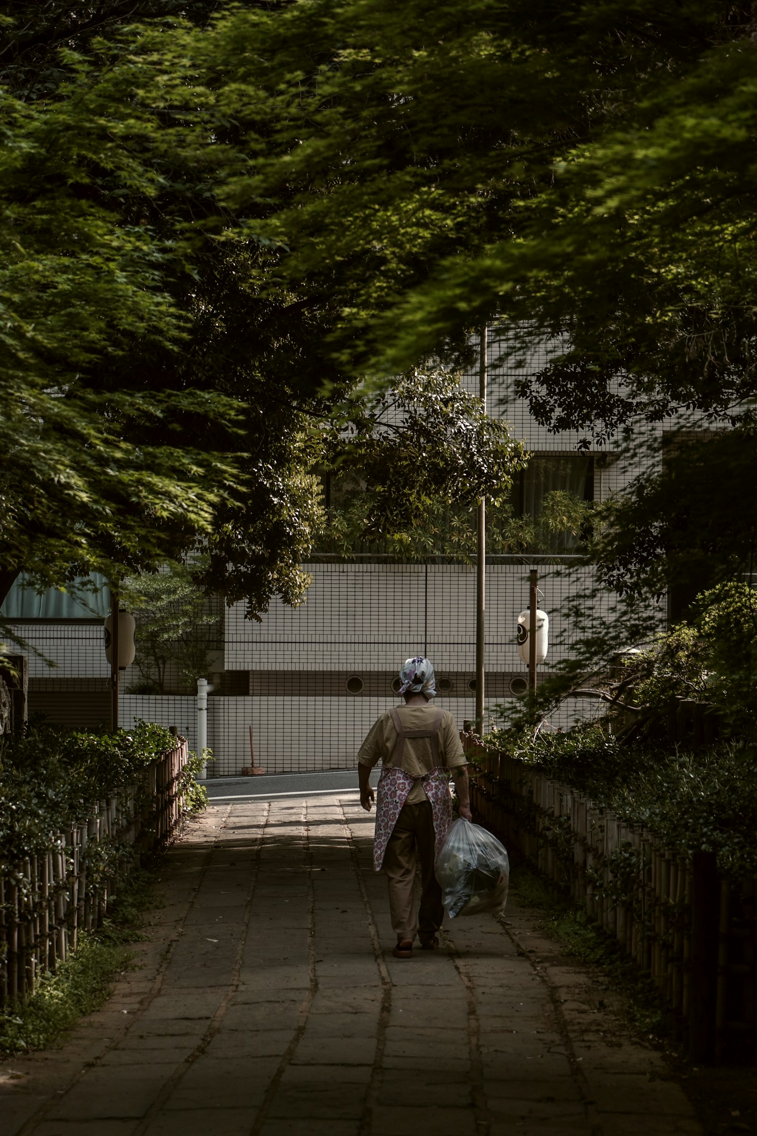 一個人走在樹木環繞的人行道上，手裡提著一個袋子
