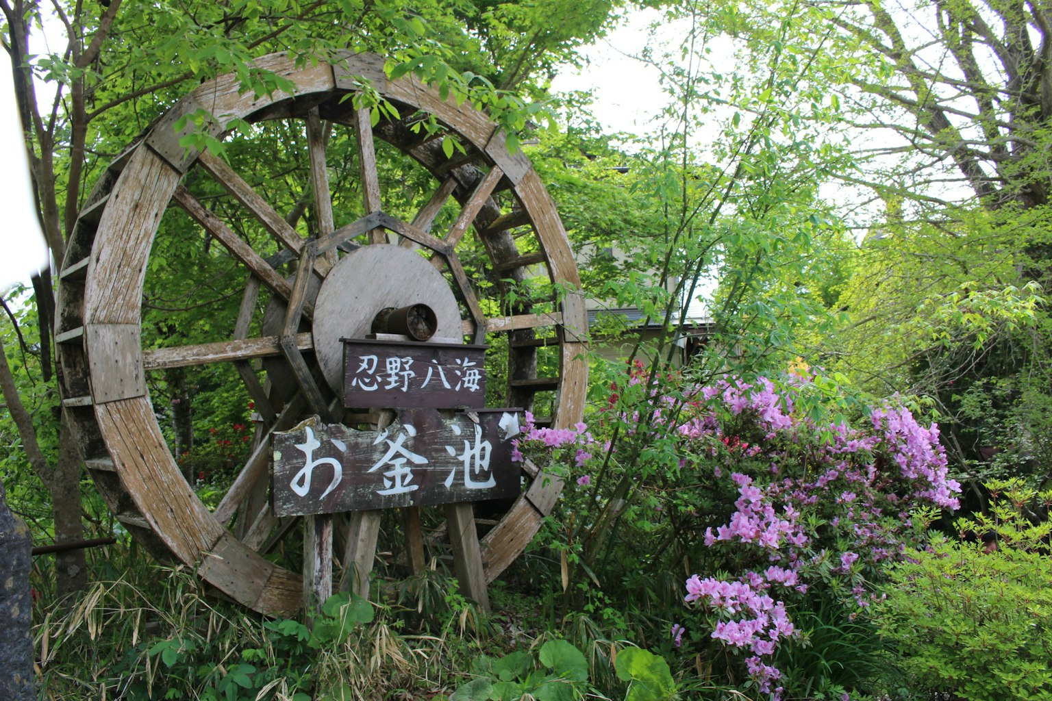 一個景觀，特徵是一個水車被綠樹環繞和一塊關於盂蘭盆地的標誌