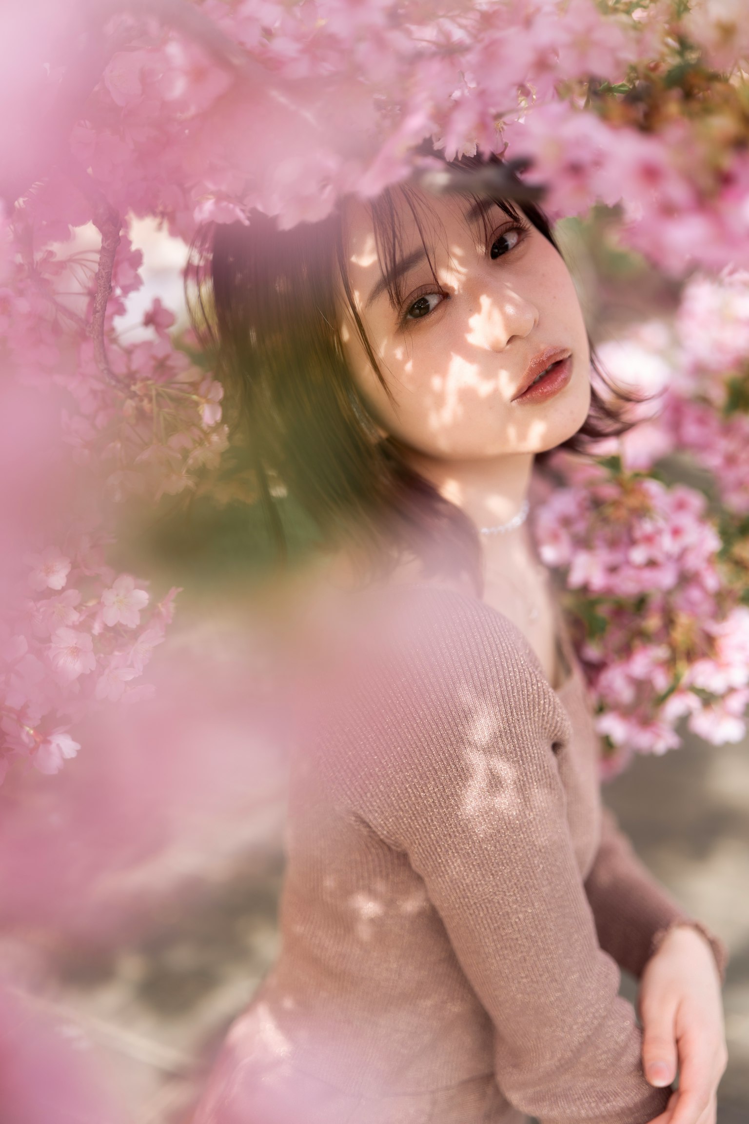 樱花间的女性肖像柔和的色彩和梦幻的氛围