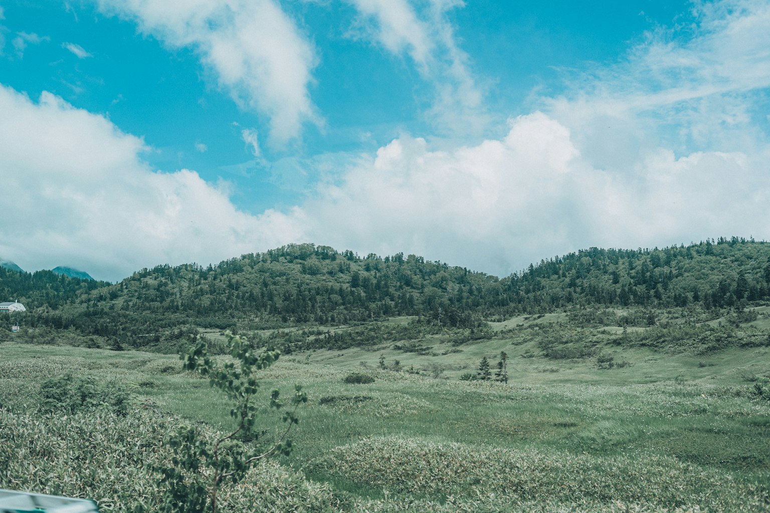 郁郁葱葱的綠色山丘在藍天和白雲下