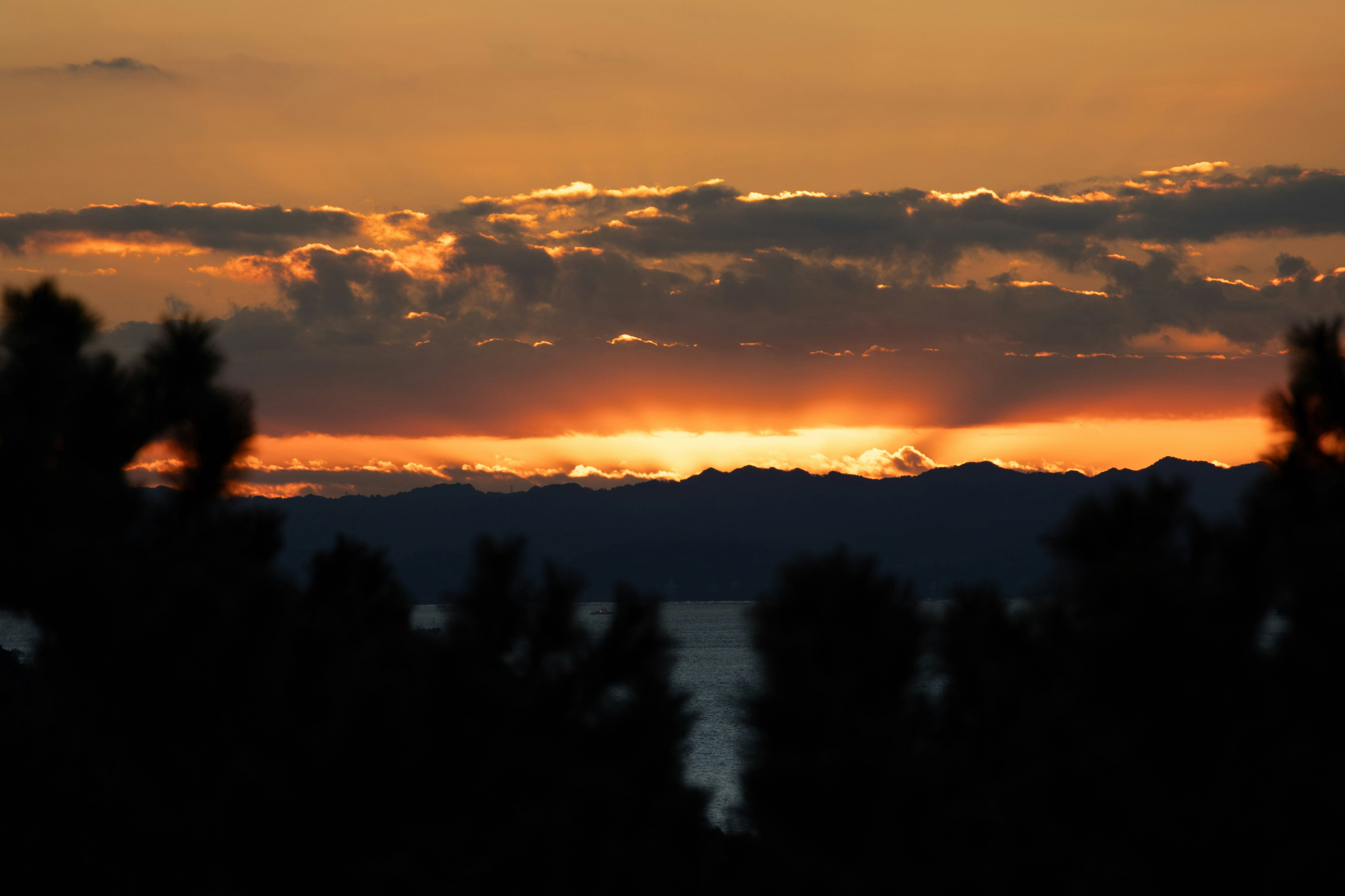 夕焼けの雲とシルエットの木々が広がる風景