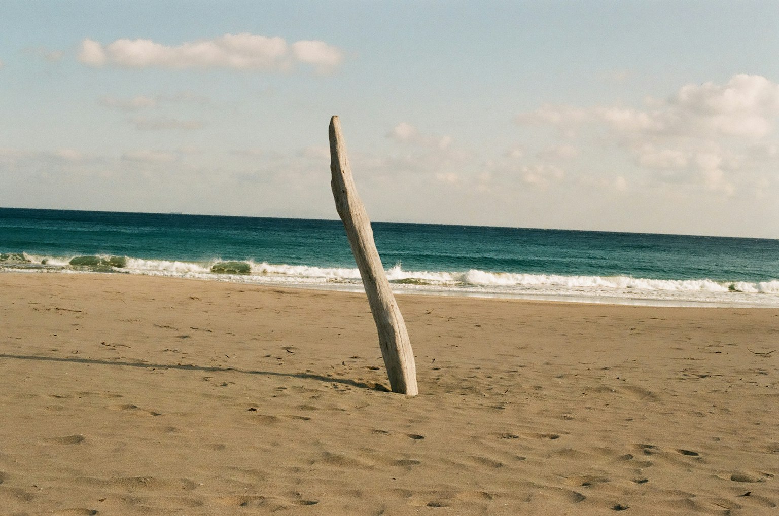Ein schlanker Treibholz steht an einem Sandstrand mit blauem Meer und Himmel