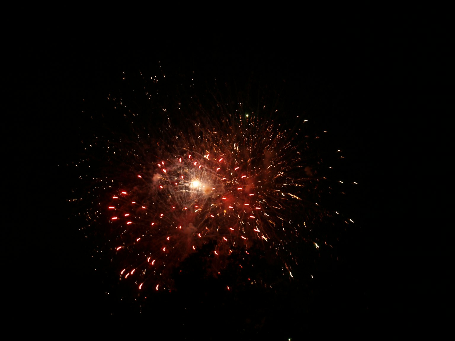 Bursting red fireworks in the night sky