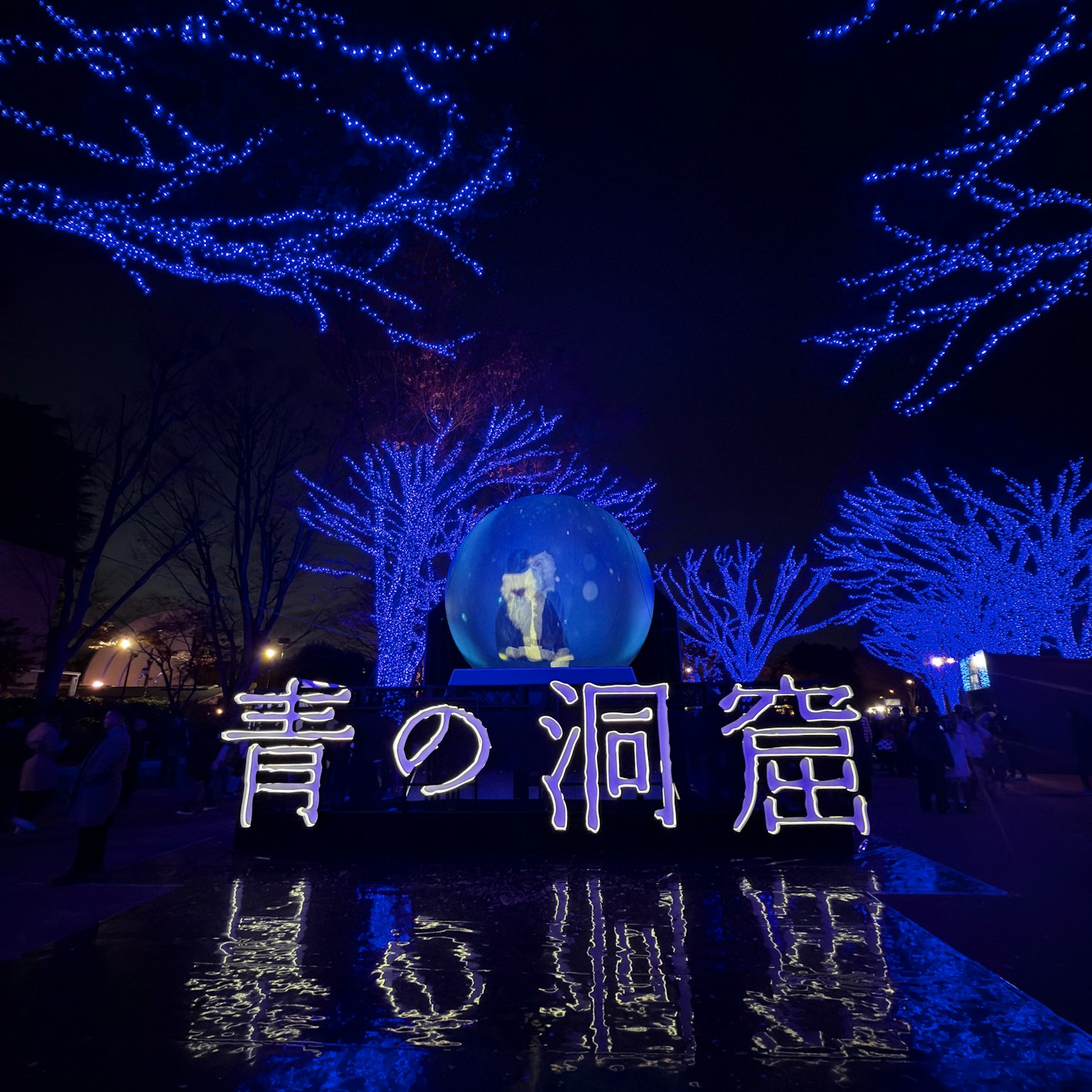 Affichage de la grotte illuminée en bleu dans un parc avec des lumières bleues et un globe