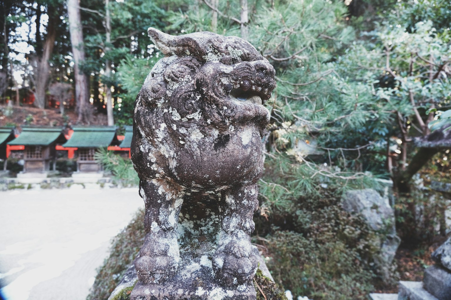 Antica statua di leone in pietra che si erge nella foresta