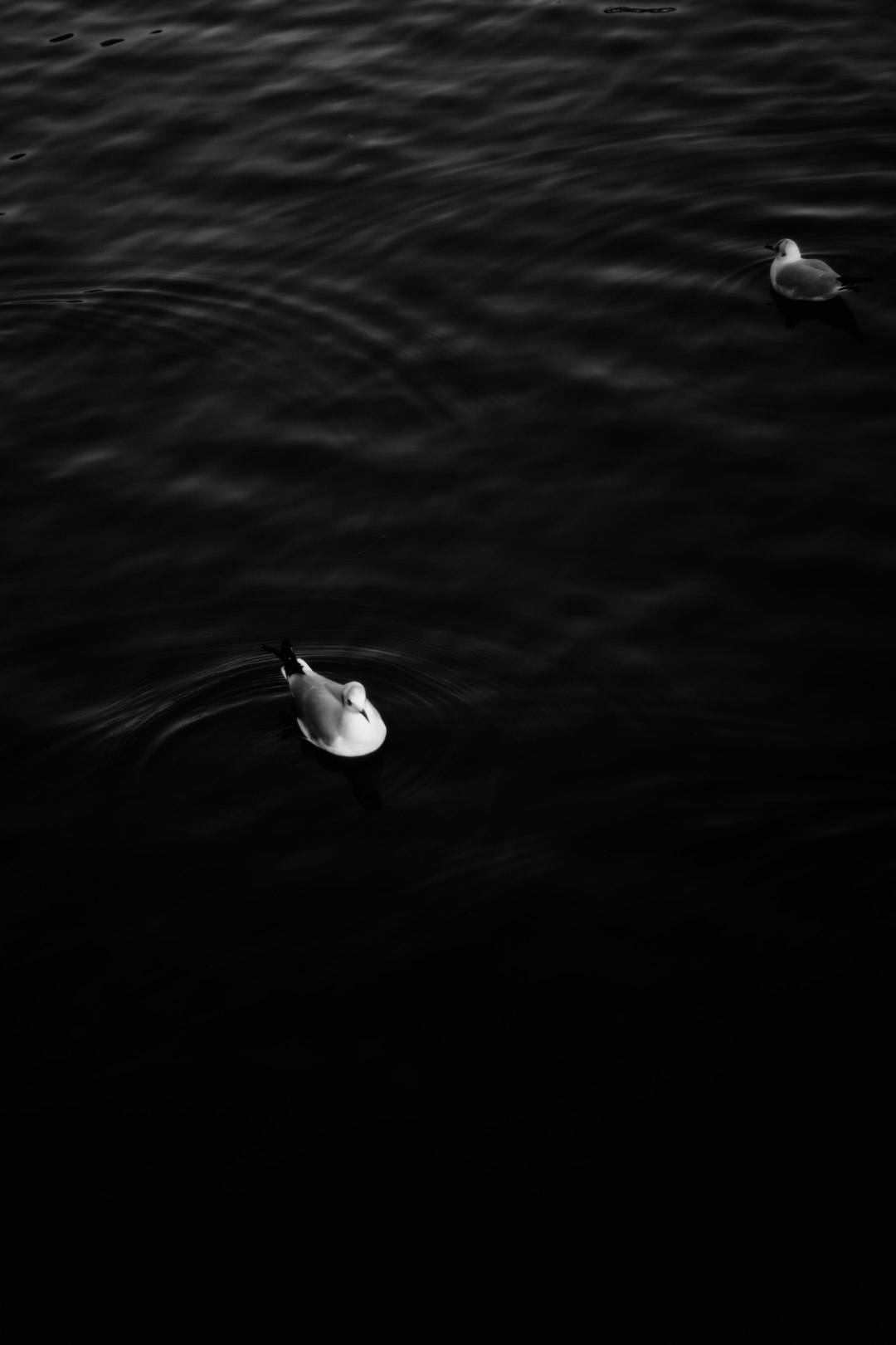 photo-NhqMPFEdBmSTaERQEF1p