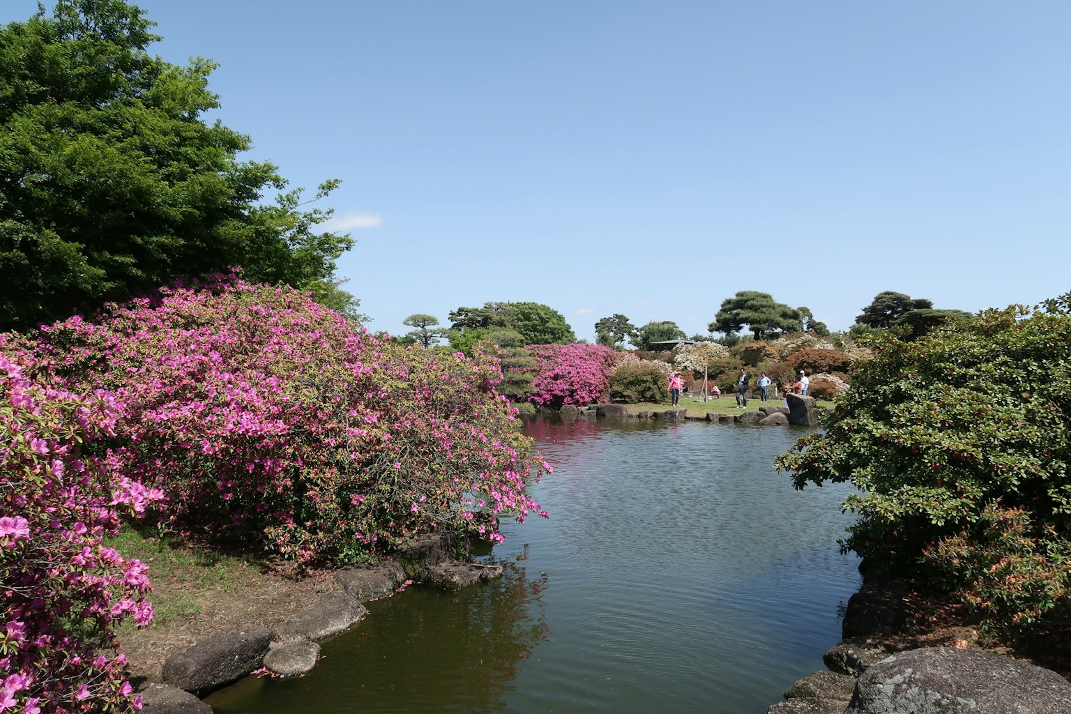 Scenic view of a pond surrounded by colorful blooming flowers