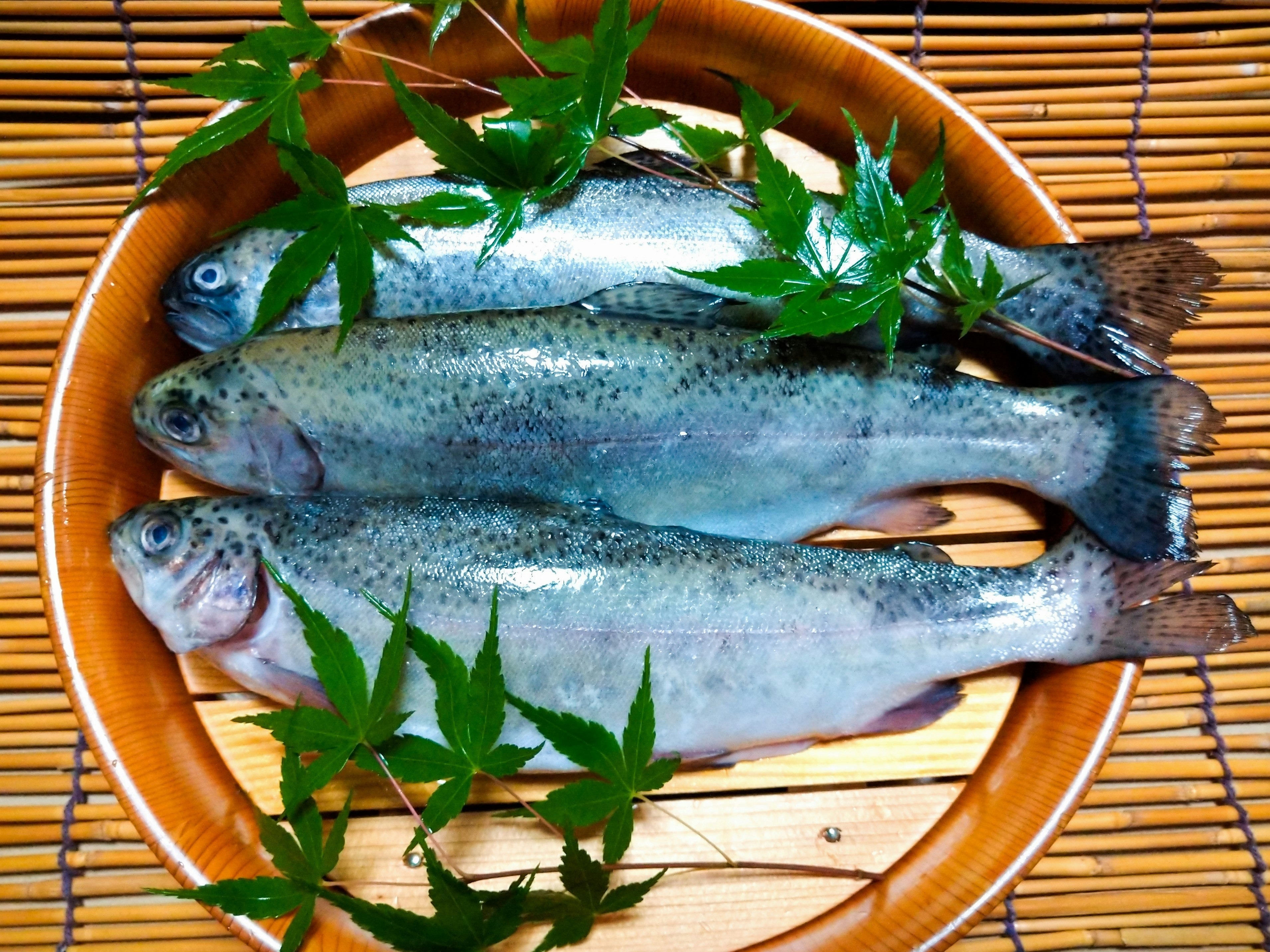 竹ざるに盛られた新鮮なサバと青菜