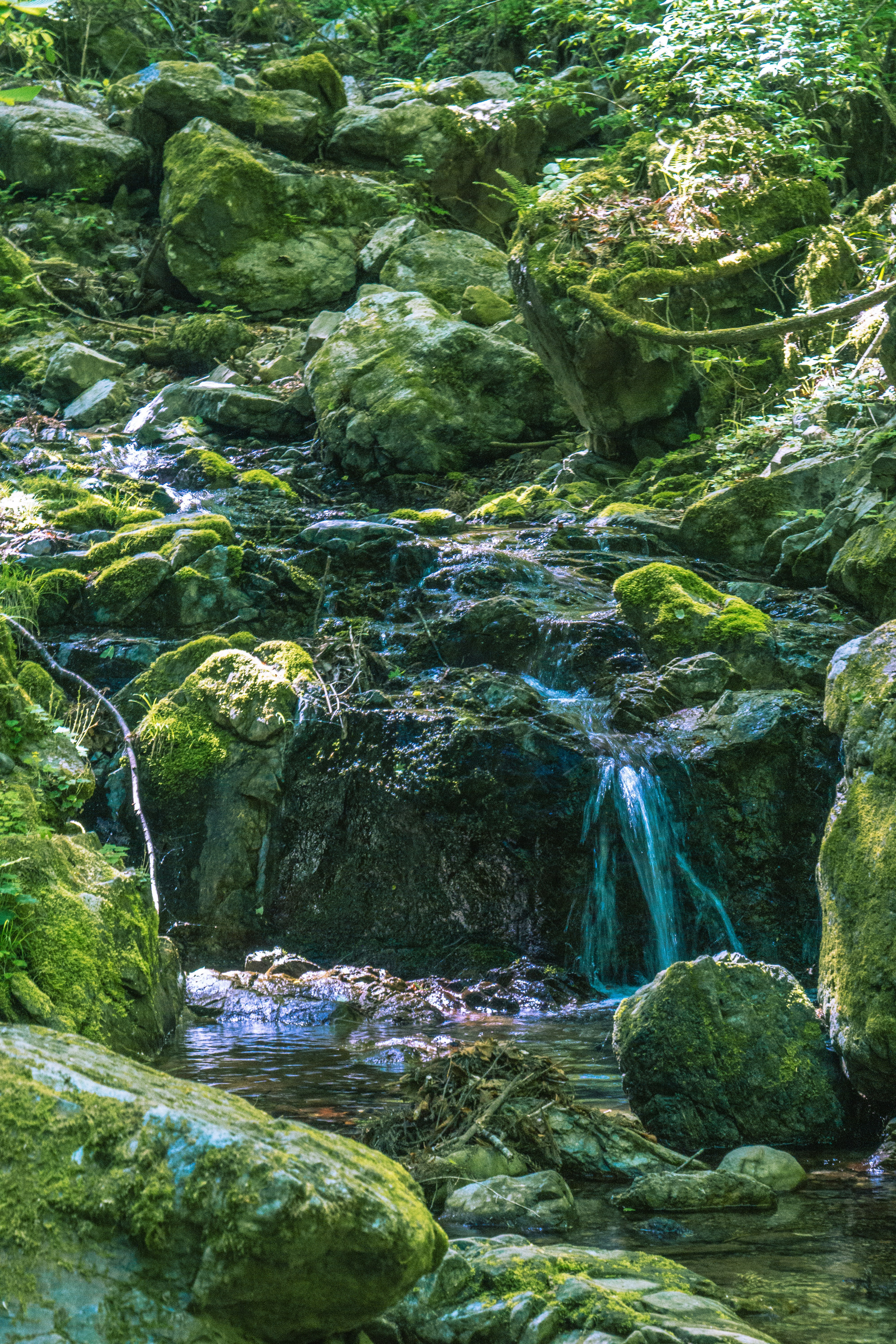 moosbedeckte Felsen und ein kleiner Wasserfall in einem Waldbach