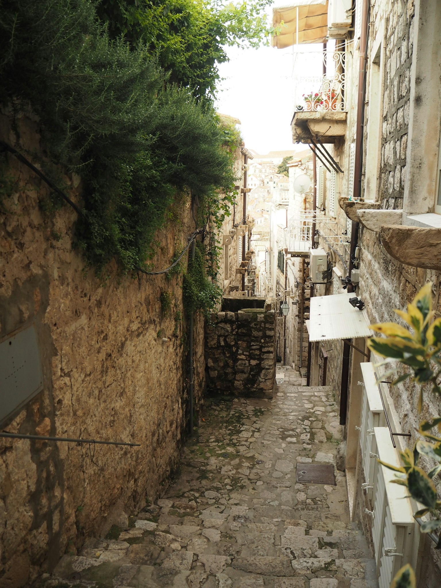 Narrow stone alleyway with lush greenery and rustic architecture