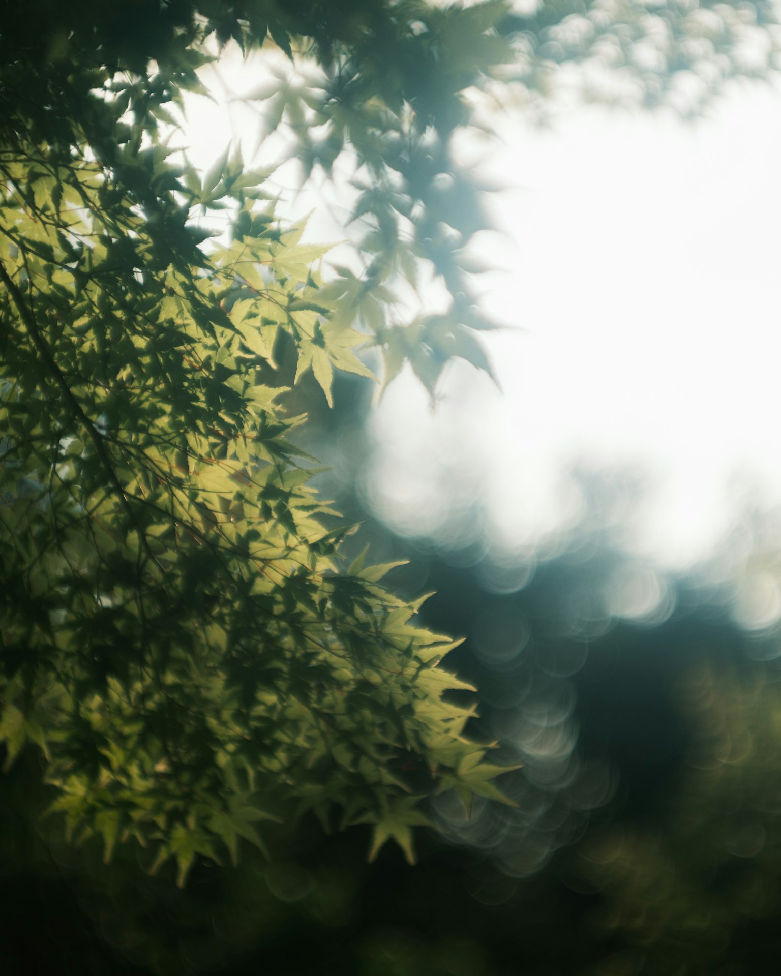 photo-NimS1ZcvVmW93jjMHZ0B-image