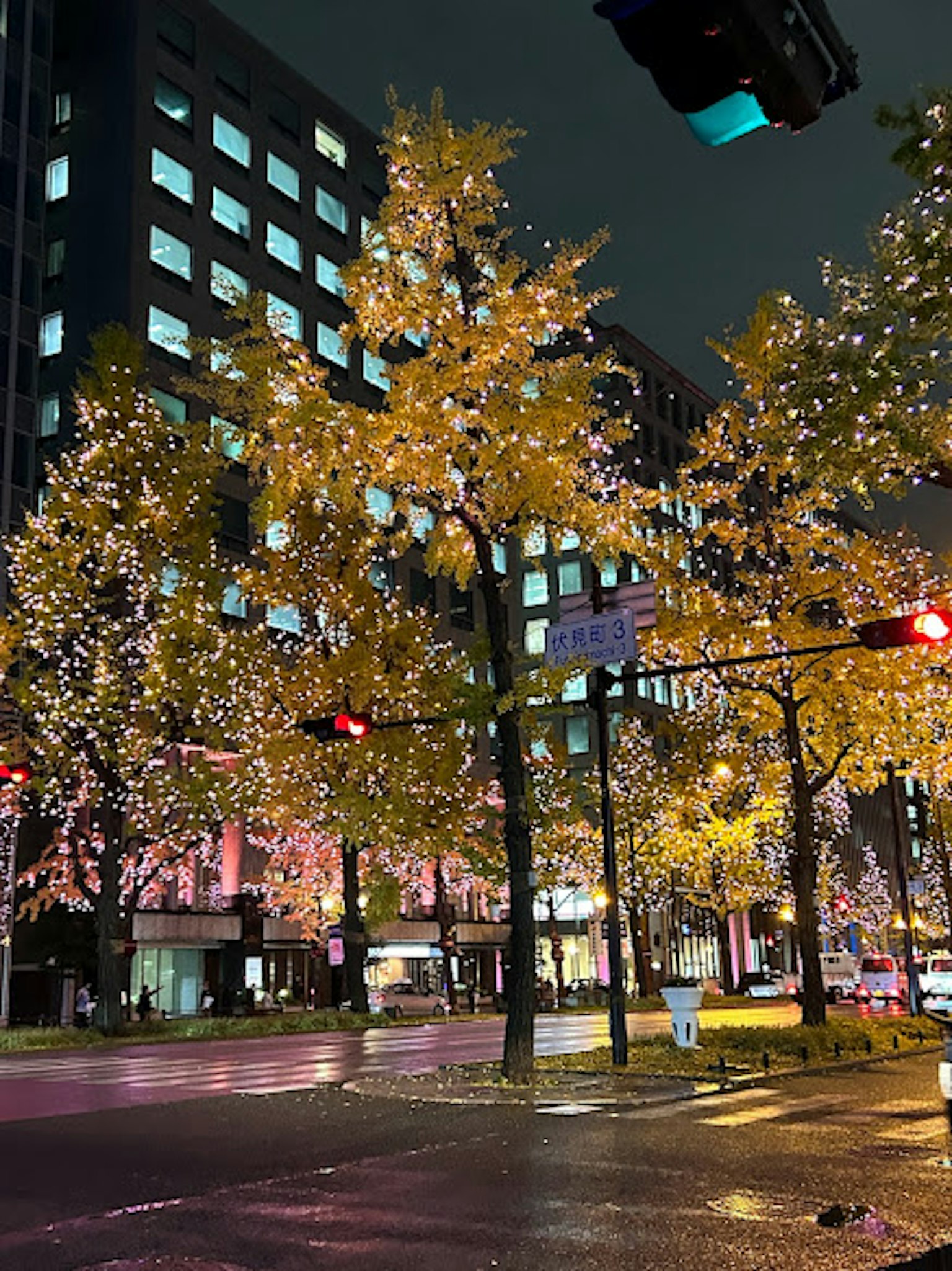 Illuminated trees with lights in a city street at night