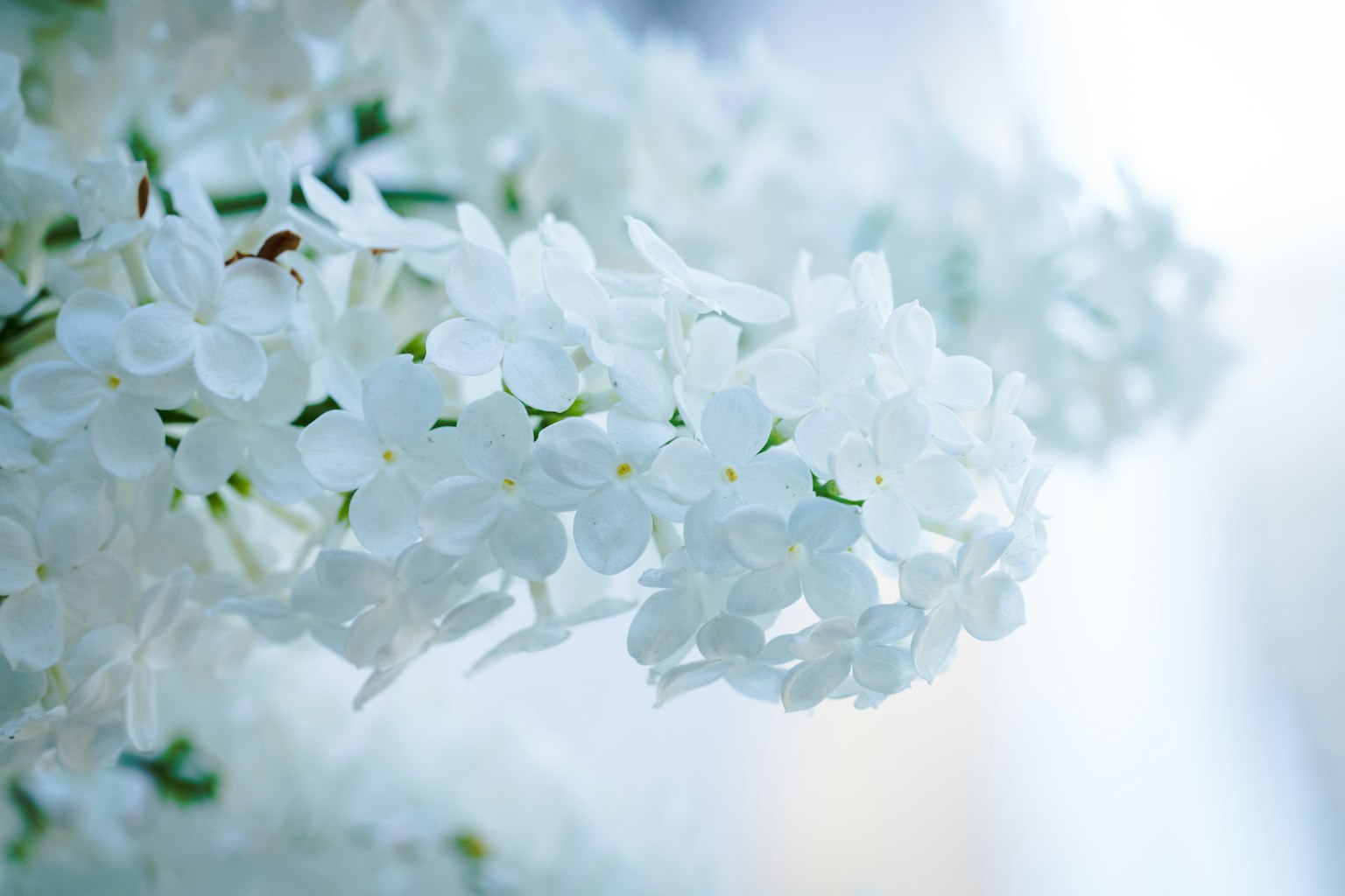 photo-NjTV2pHUP3g5LsT3Z8Uz-image