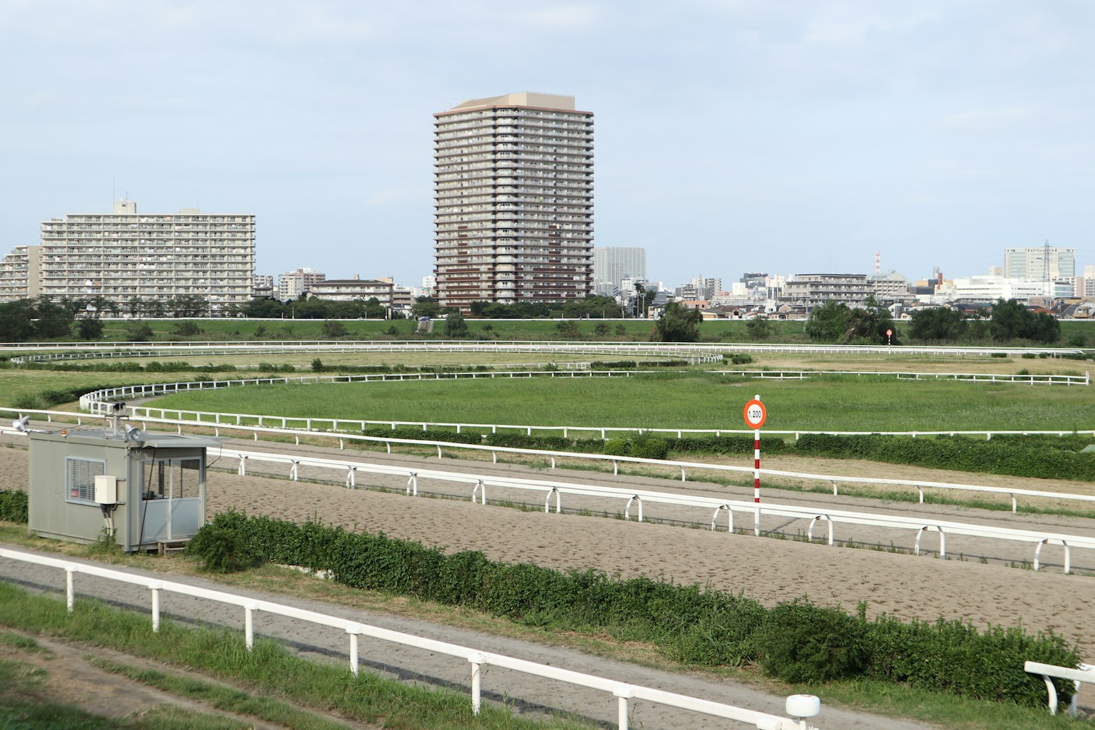 Paesaggio urbano con grattacieli e aree verdi