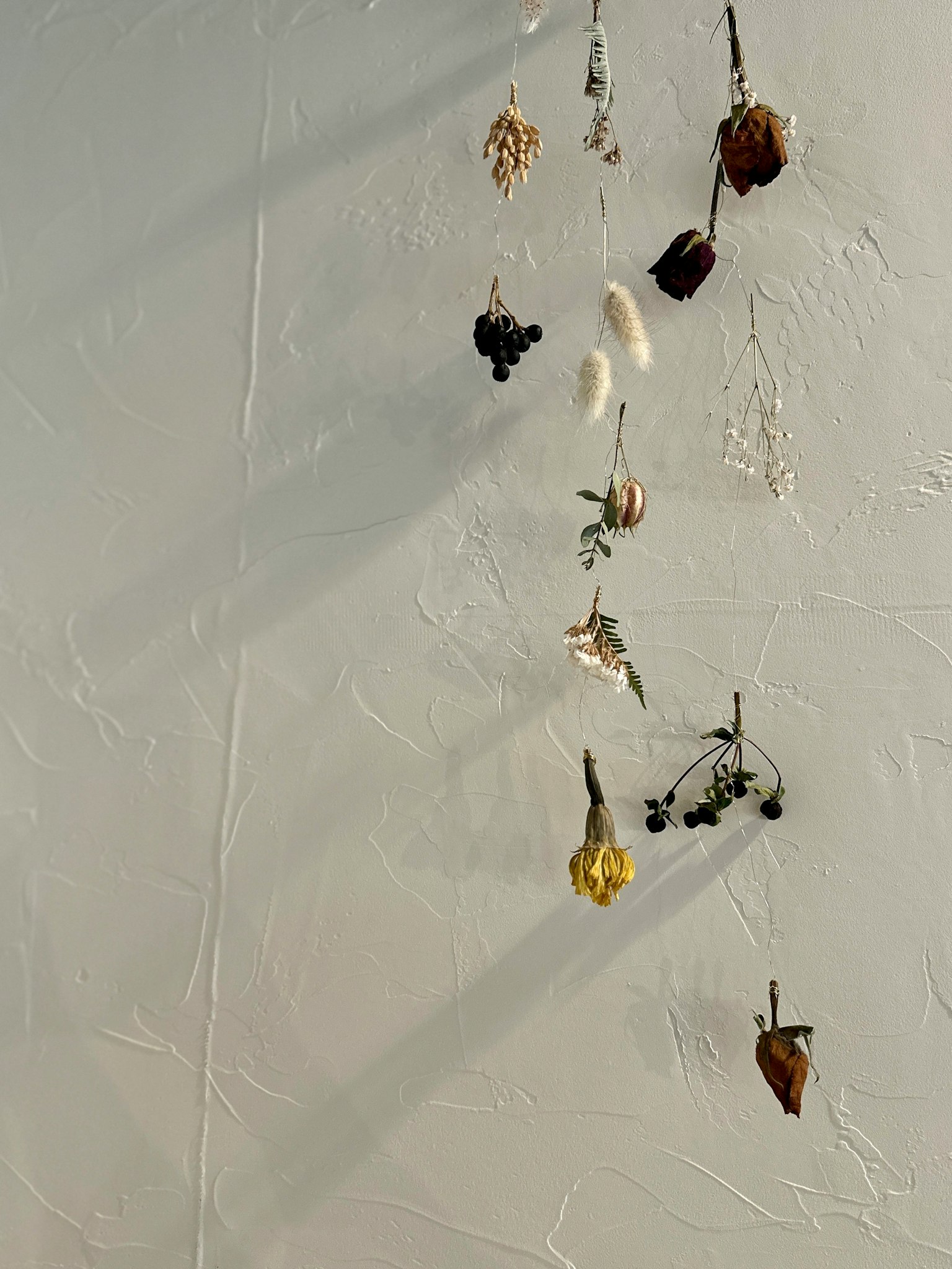 Kunstwerk mit getrockneten Blumen und Pflanzen, die an einer Wand hängen