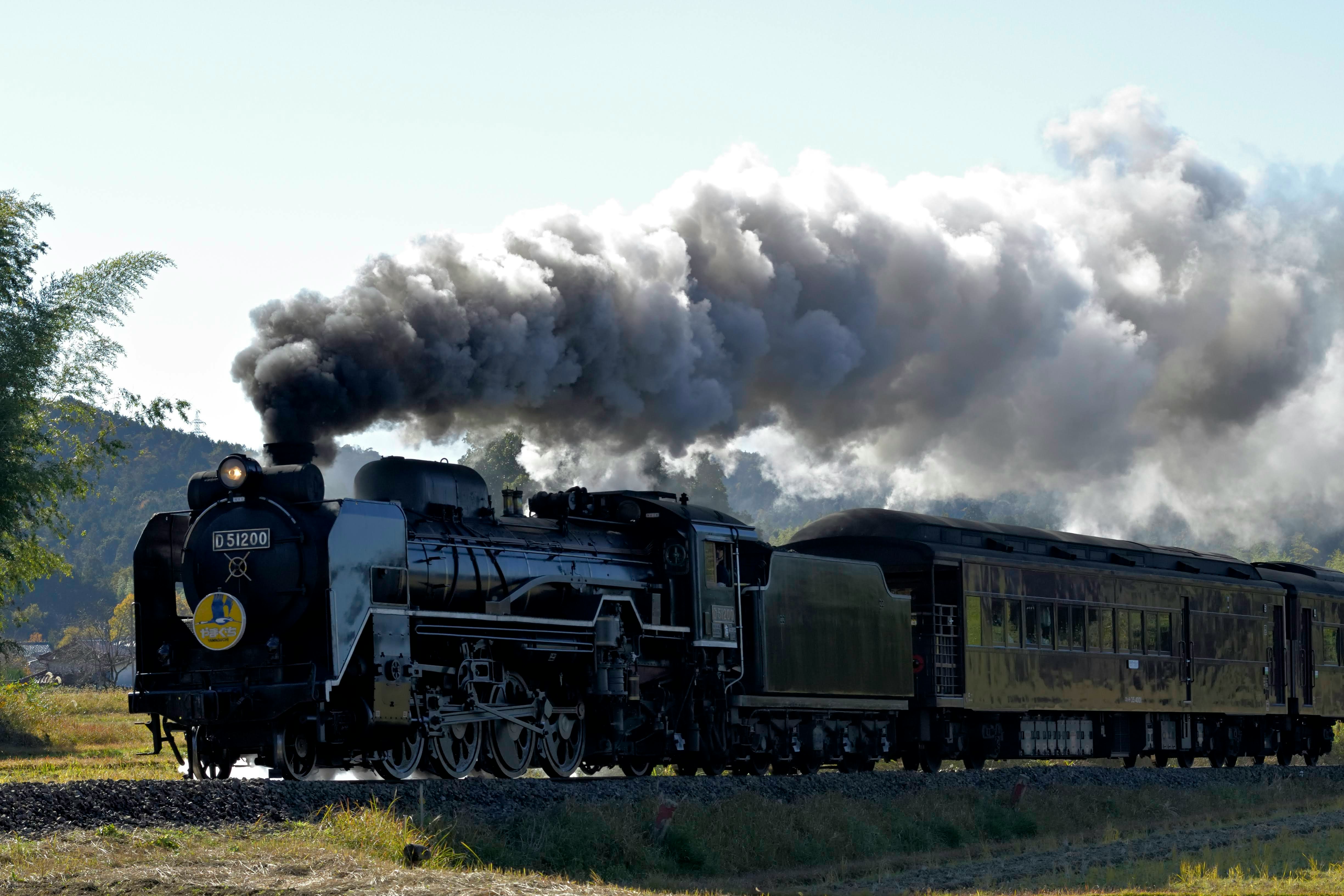 Treno a vapore sui binari con fumo denso