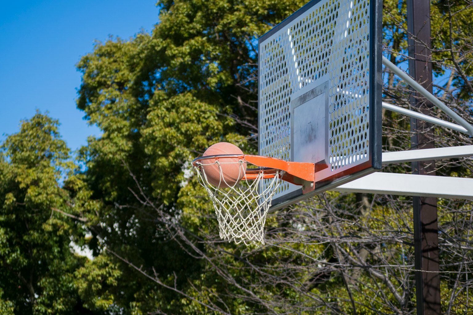 Bola basket melewati ring dengan langit biru cerah dan pohon hijau di latar belakang