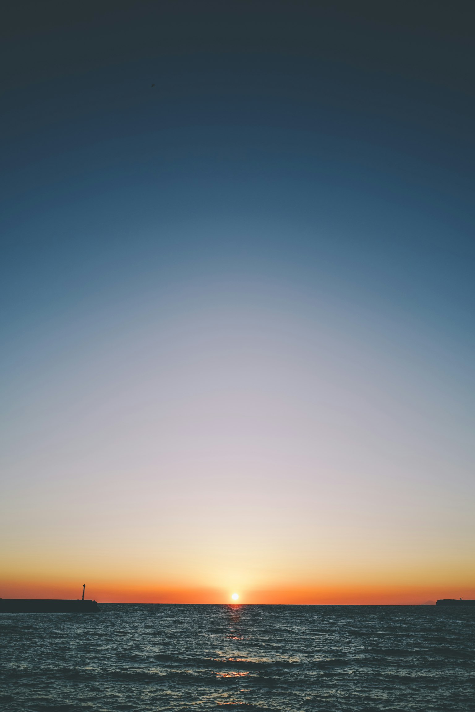 photo-NlWEPkNnc5P3it3RpjWp-image