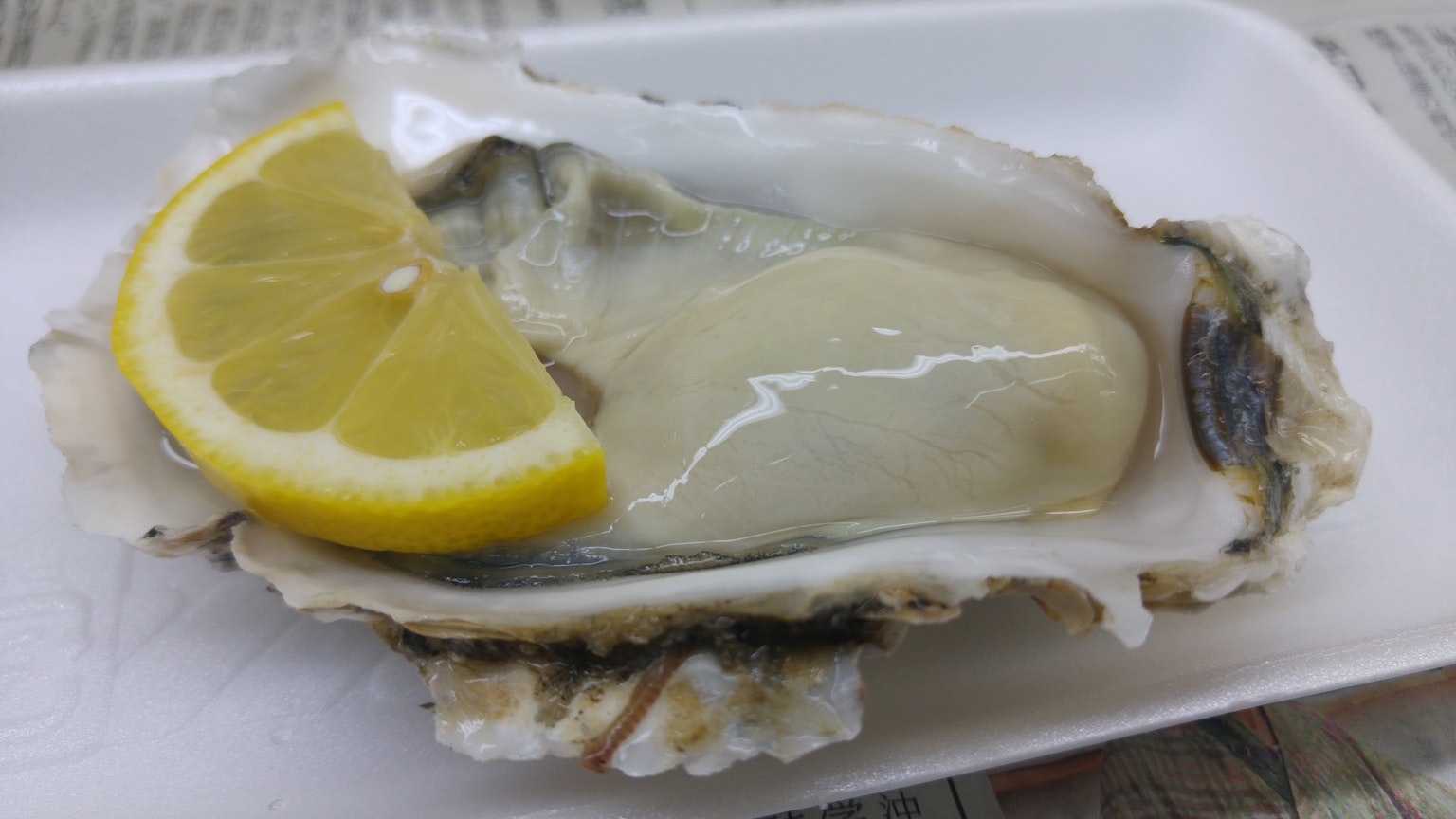 Fresh oyster with a slice of lemon on a plate