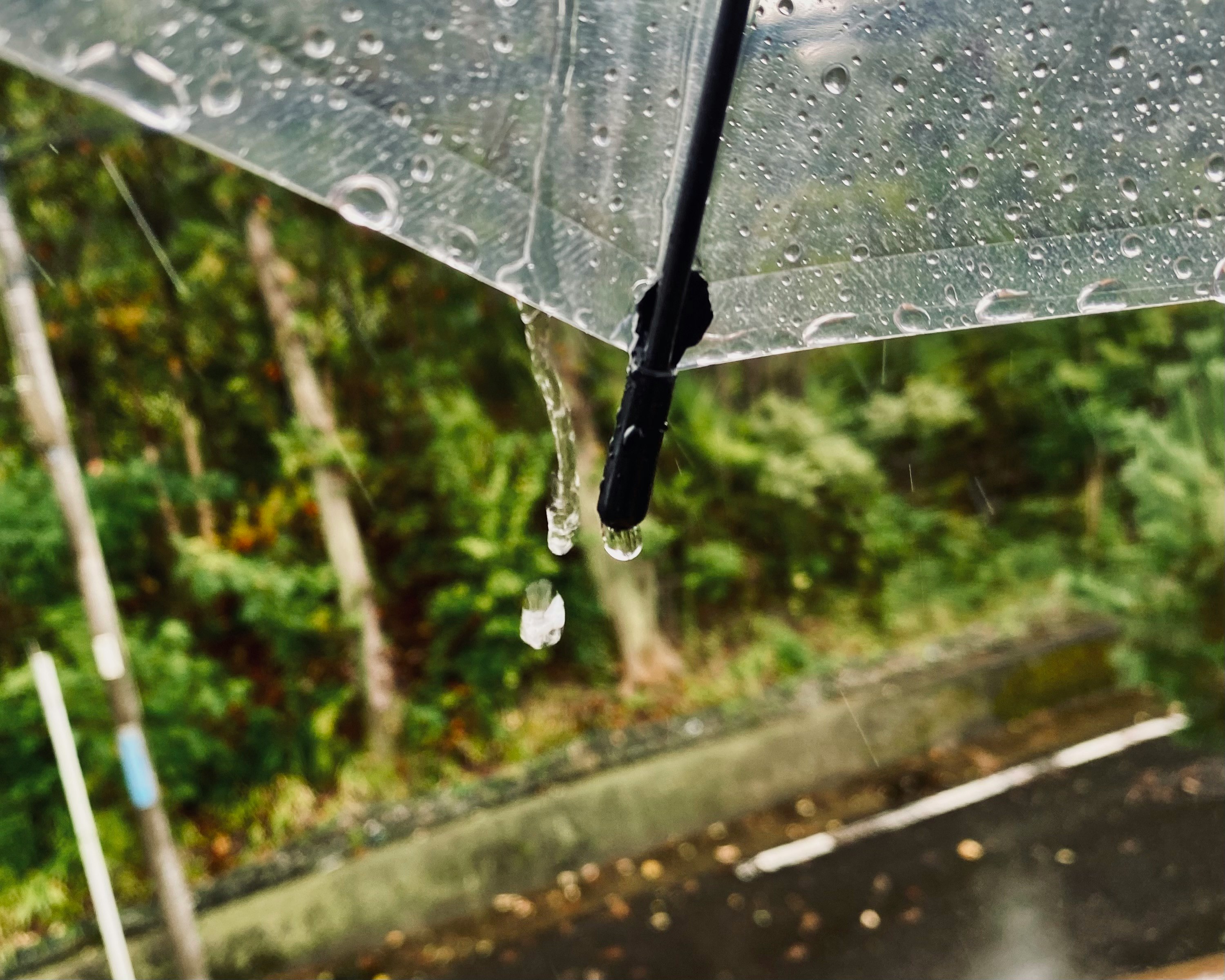 雨の中の傘と雫が滴る風景