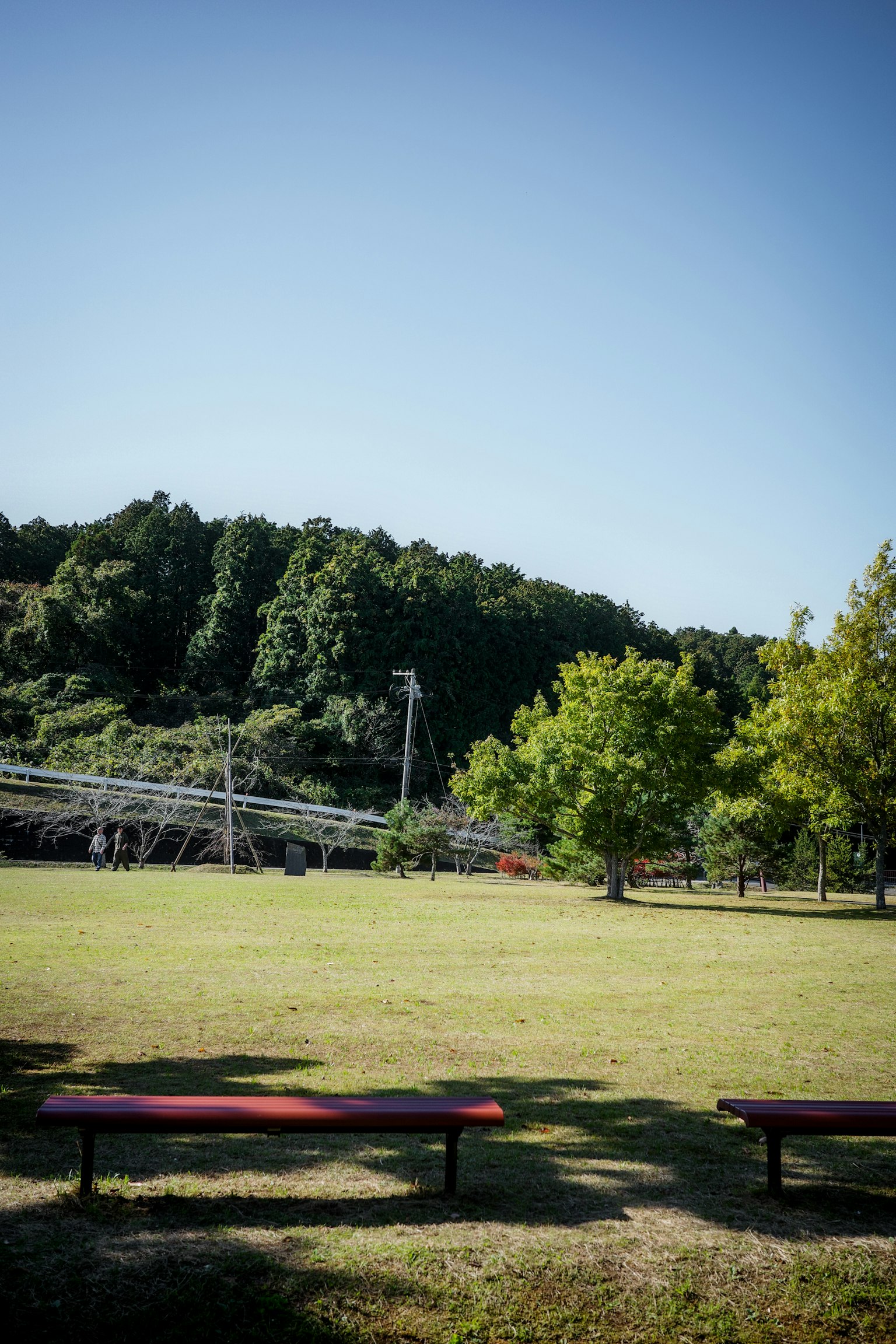寧靜的公園景色，草地上有紅色長椅和綠色樹木