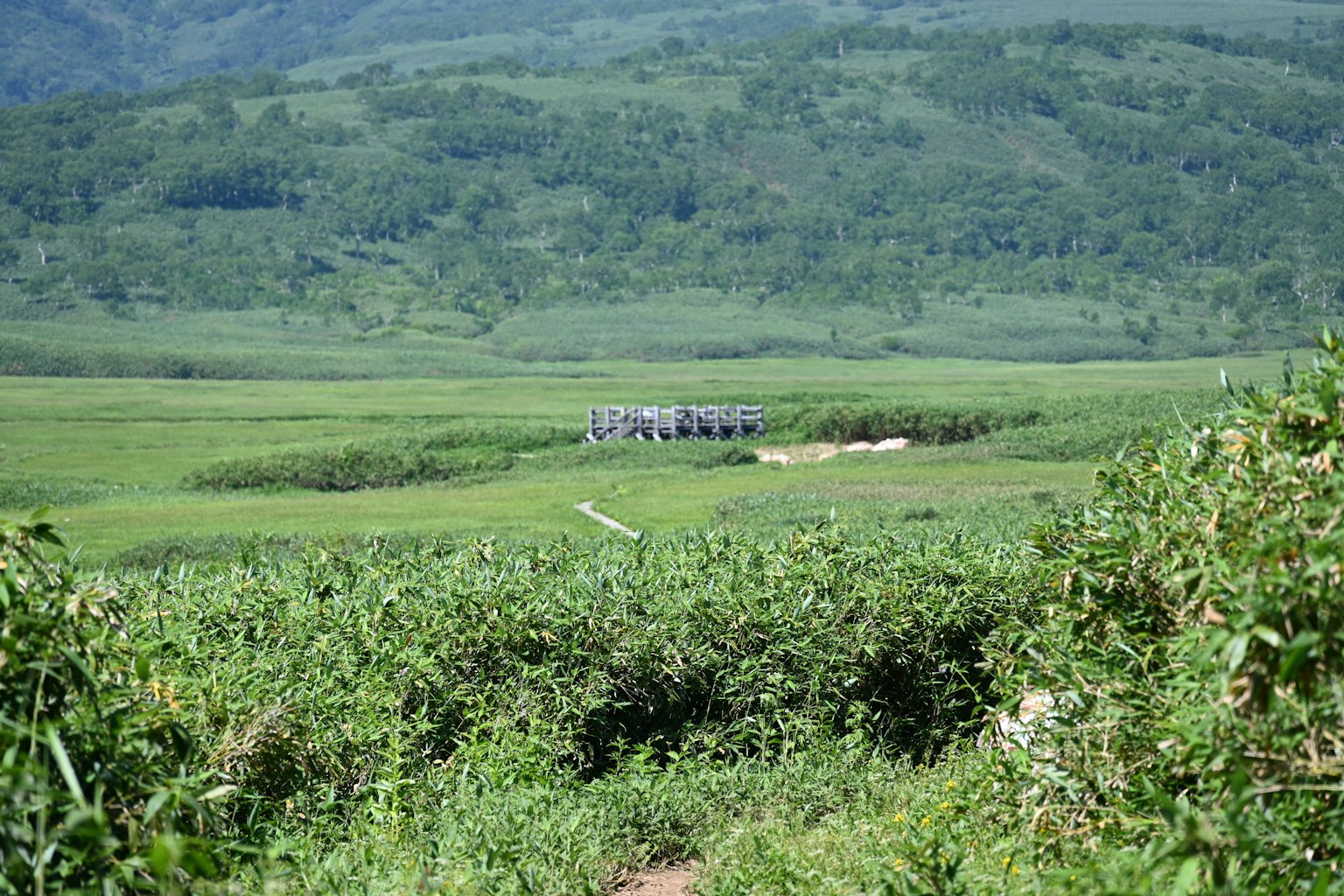 A small building amidst lush green landscape