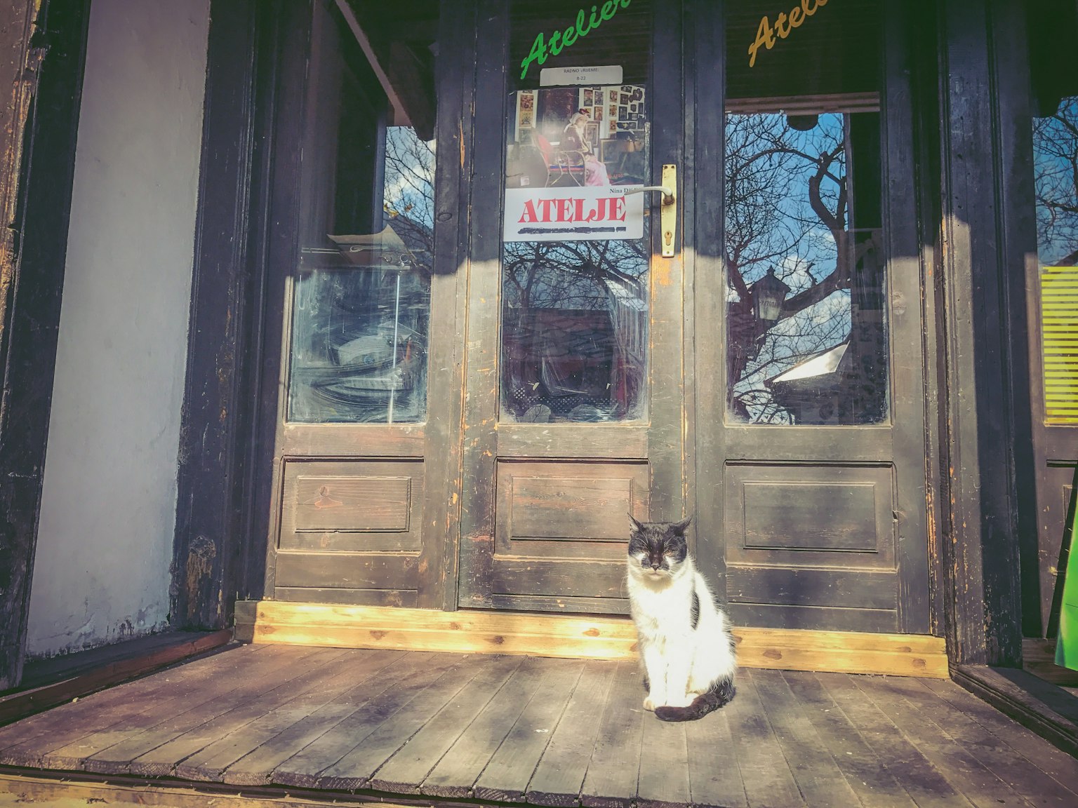 Gato blanco y negro sentado frente a una puerta de madera antigua