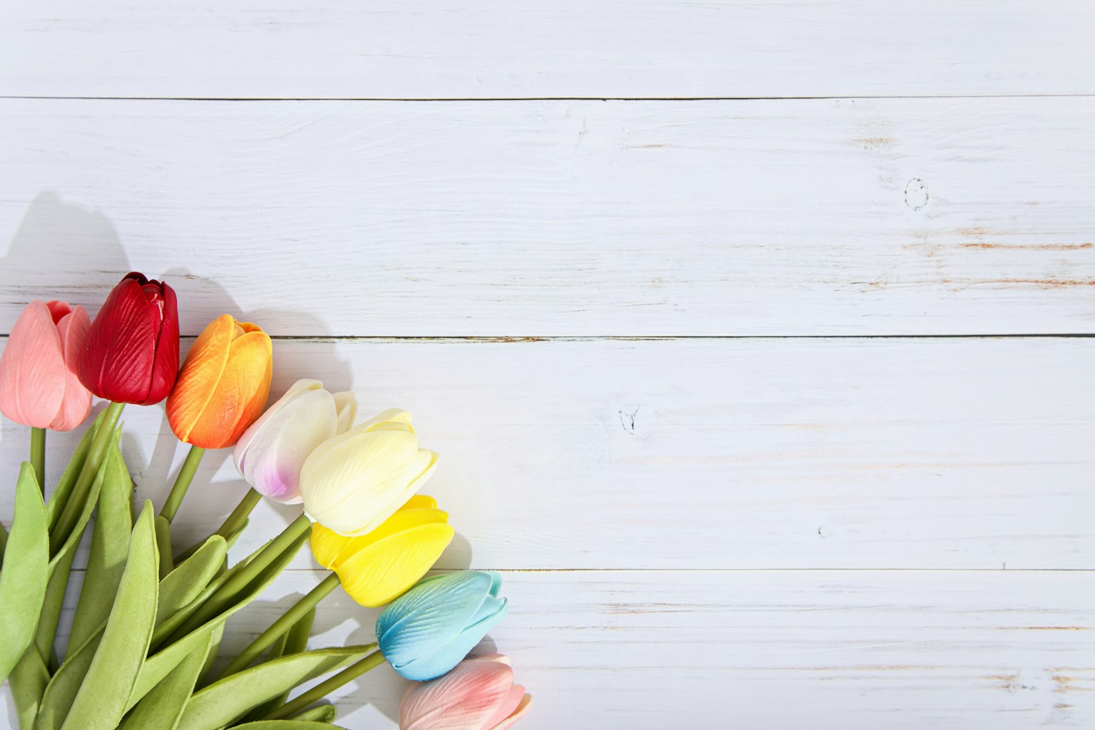 Tulipanes coloridos dispuestos sobre una superficie de madera