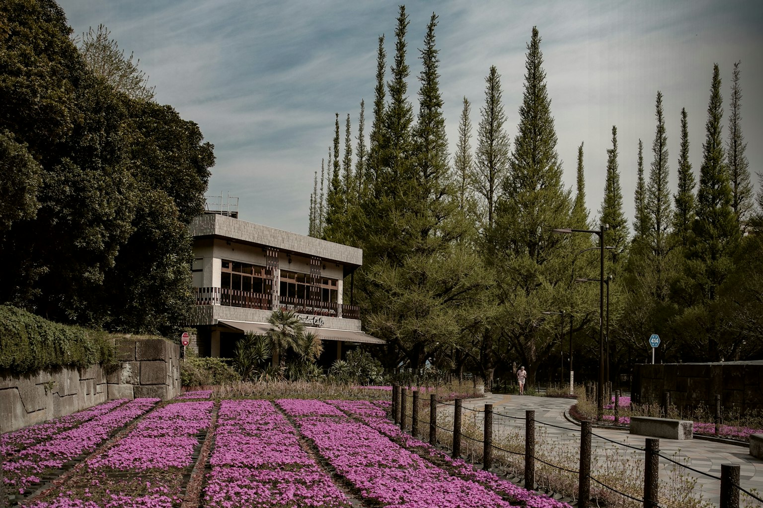 Landscape with purple flowers in a garden and tall trees near a building