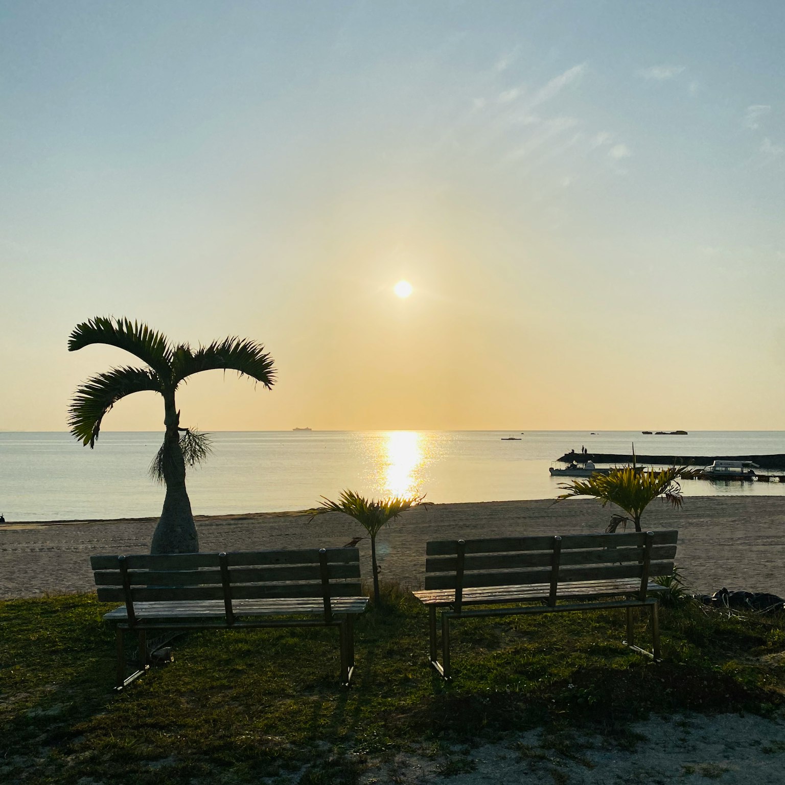 วิวชายหาดที่มีพระอาทิตย์ตกและต้นปาล์มอยู่หน้าม้านั่งสองตัว