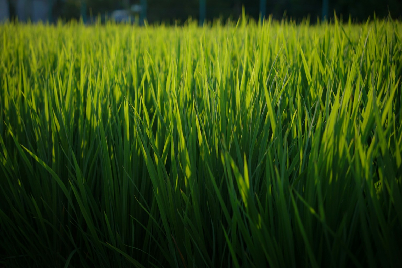 photo-NpGWQvSkWb1aUzYb3kvY-image
