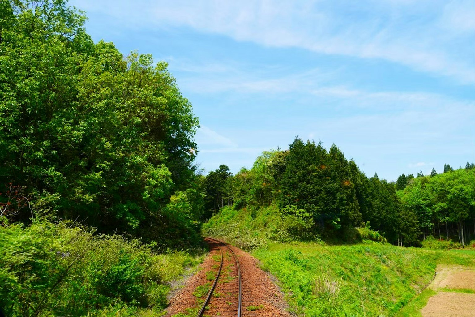 Railroad tracks surrounded by lush greenery and trees