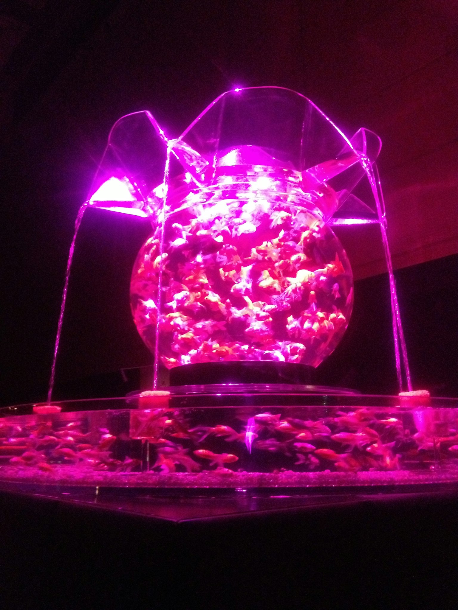 Kunstwerk mit fließendem Wasser und Glasgefäß, beleuchtet in pinkem Licht