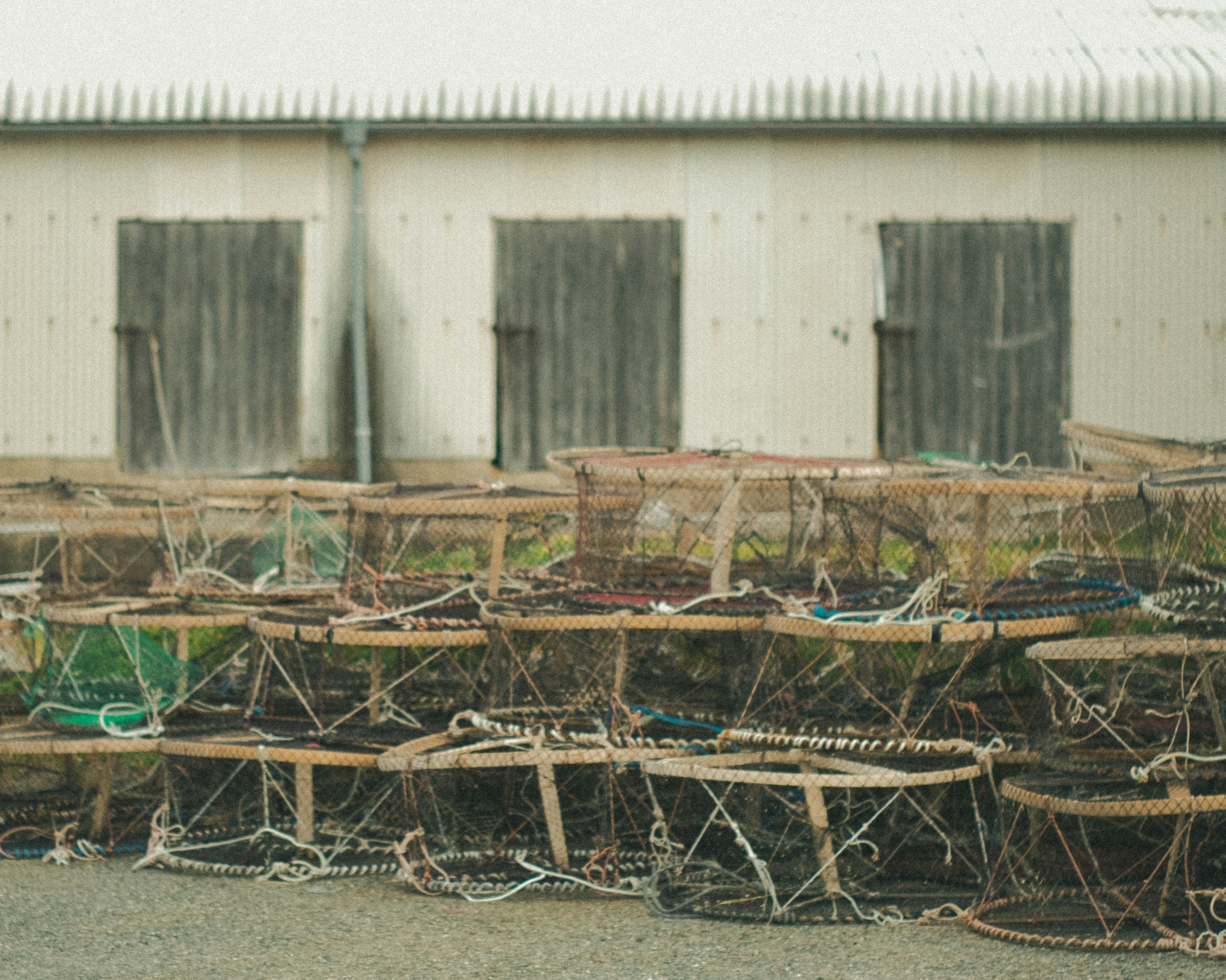 outdoor field with stacked wire mesh frames and supports