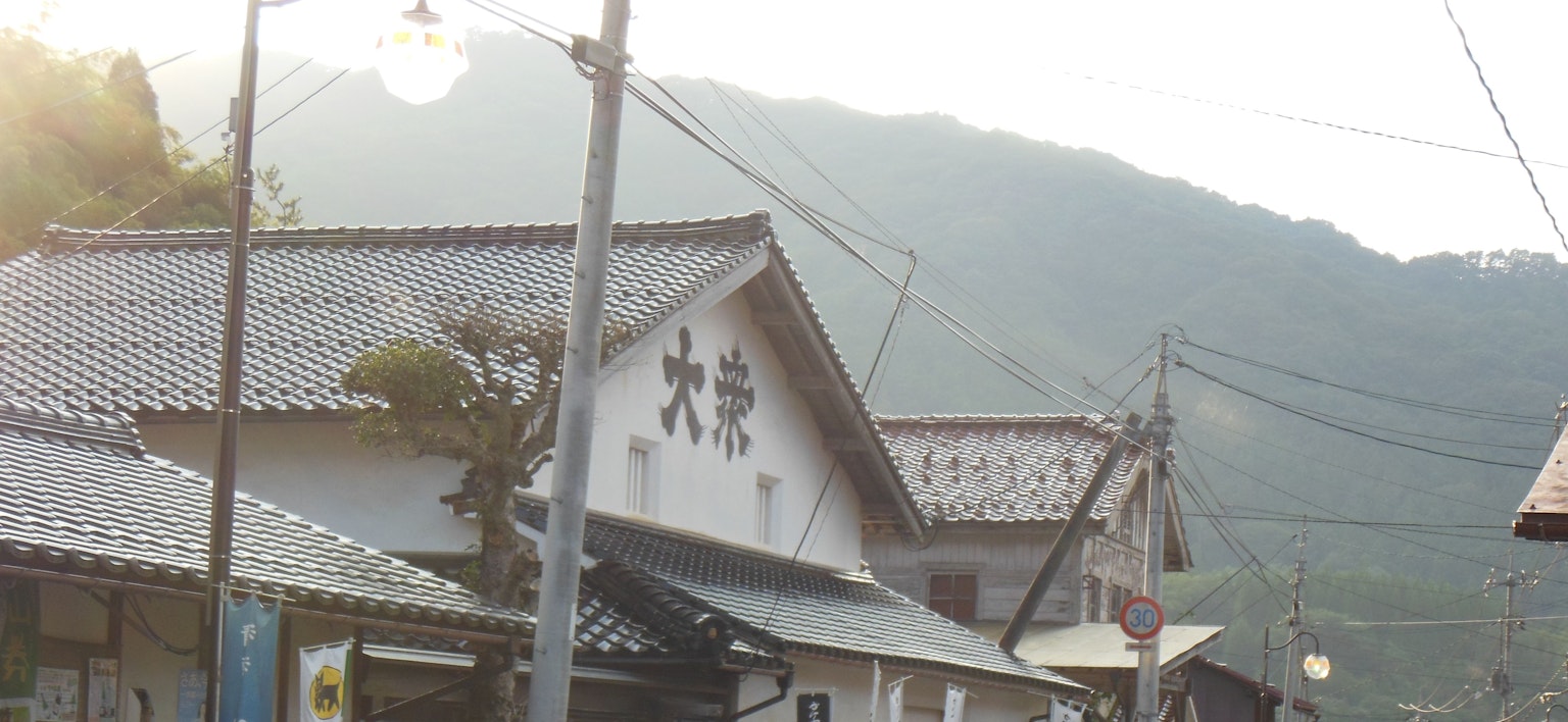 Traditional Japanese buildings with mountains in the background