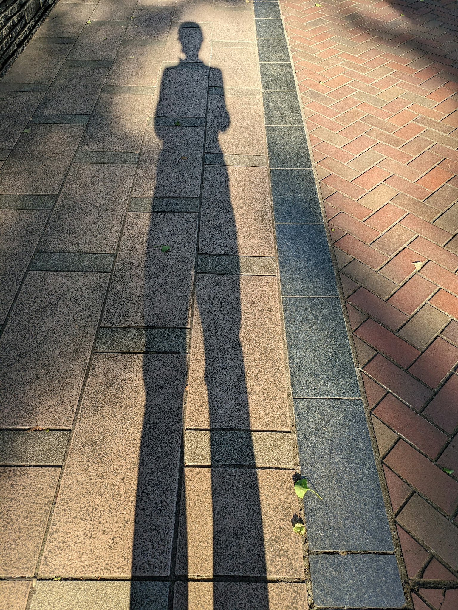 Ombre longue d'une personne projetée sur un chemin pavé