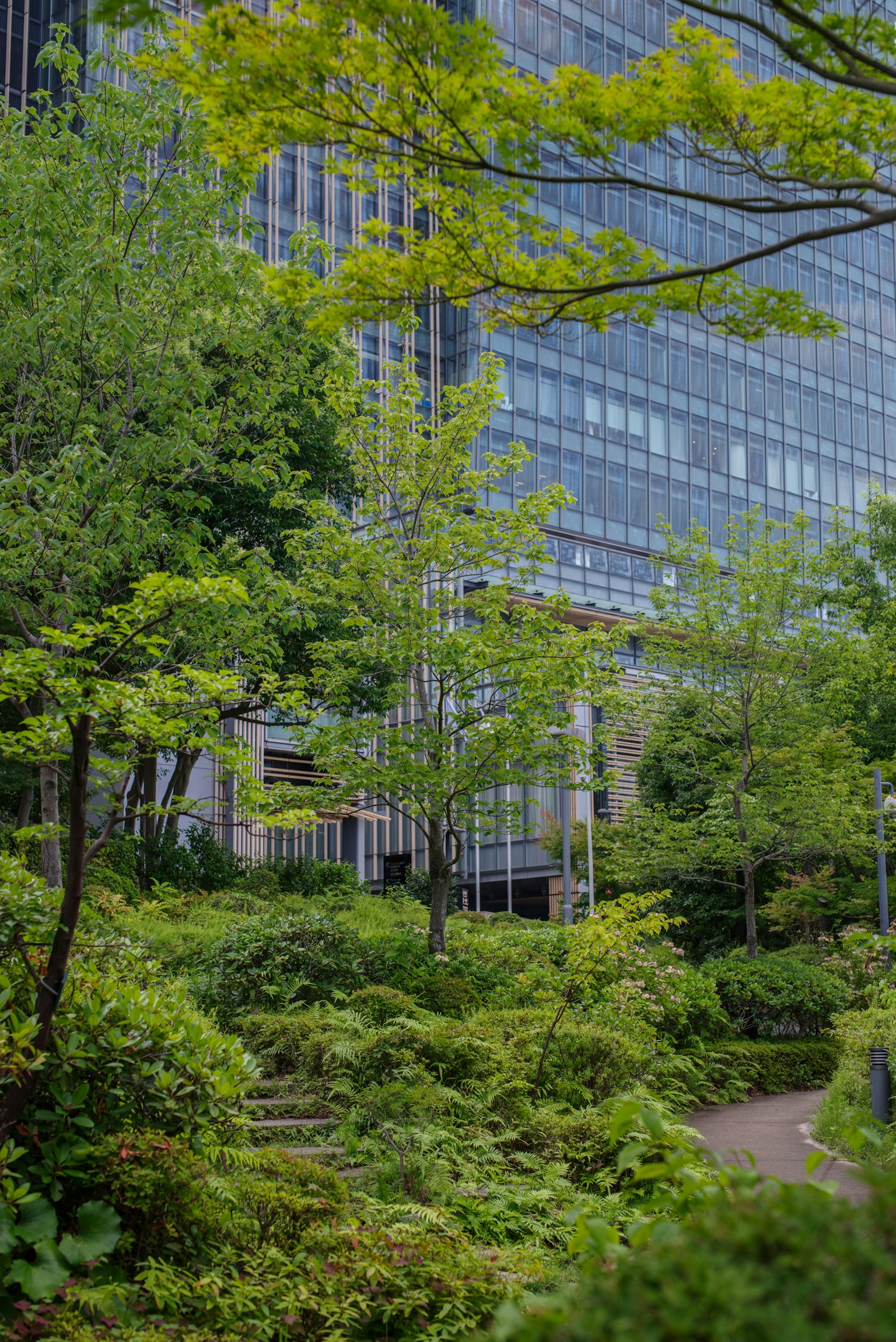 ๋ฌด์ฑํ ๋
น์ง์ ํ๋์ ์ธ ๊ณ ์ธต ๊ฑด๋ฌผ์ ๋๋น