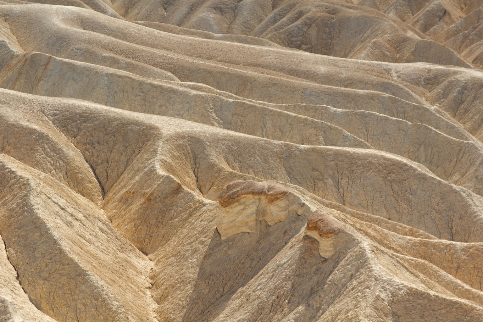Motivi ondulati di un terreno brunastro con formazioni geologiche a strati