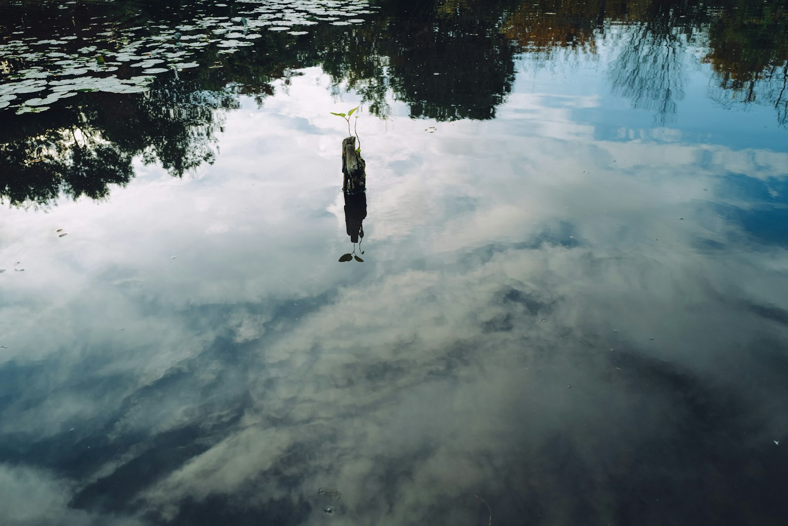 photo-NrIRYzUBVH1SJTsMazDl-image