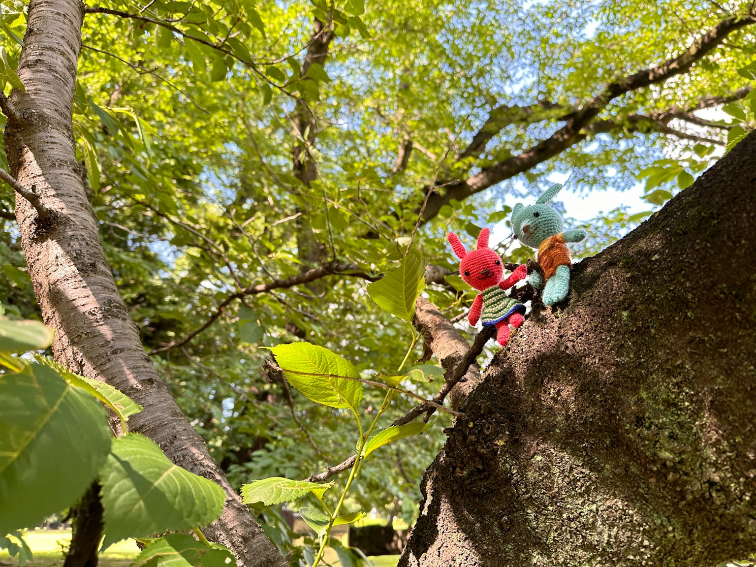Personnages en peluche colorés assis sur une branche d'arbre entourée de feuilles vertes